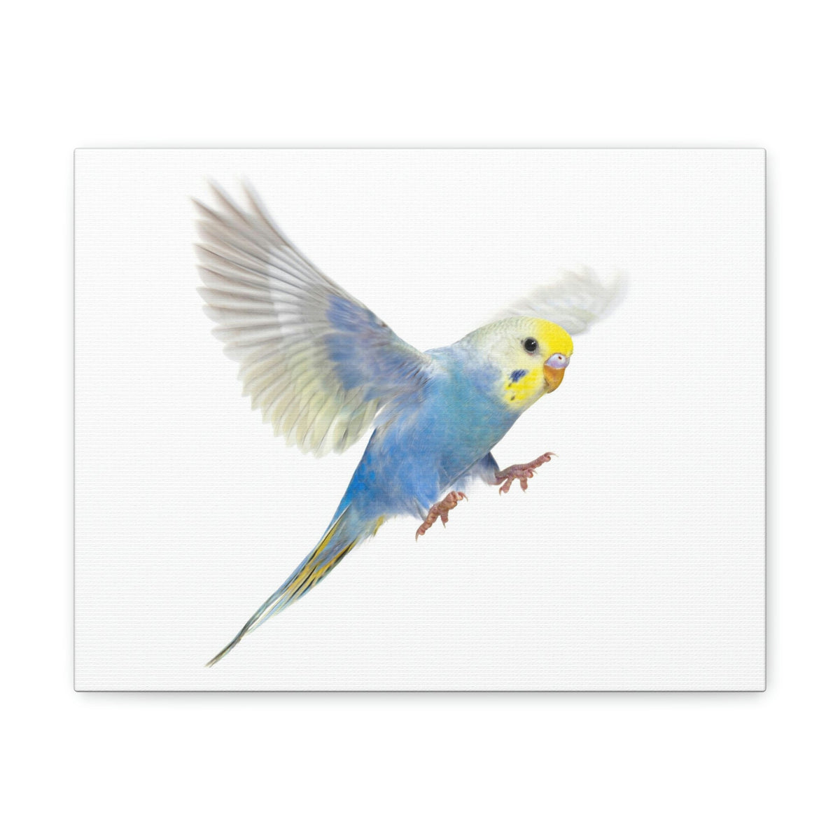 Scripture Walls Budgie Hunting Budgie on Hunt Print Animal Wall Art Wildlife Canvas Prints Wall Art Ready to Hang Unframed-Express Your Love Gifts