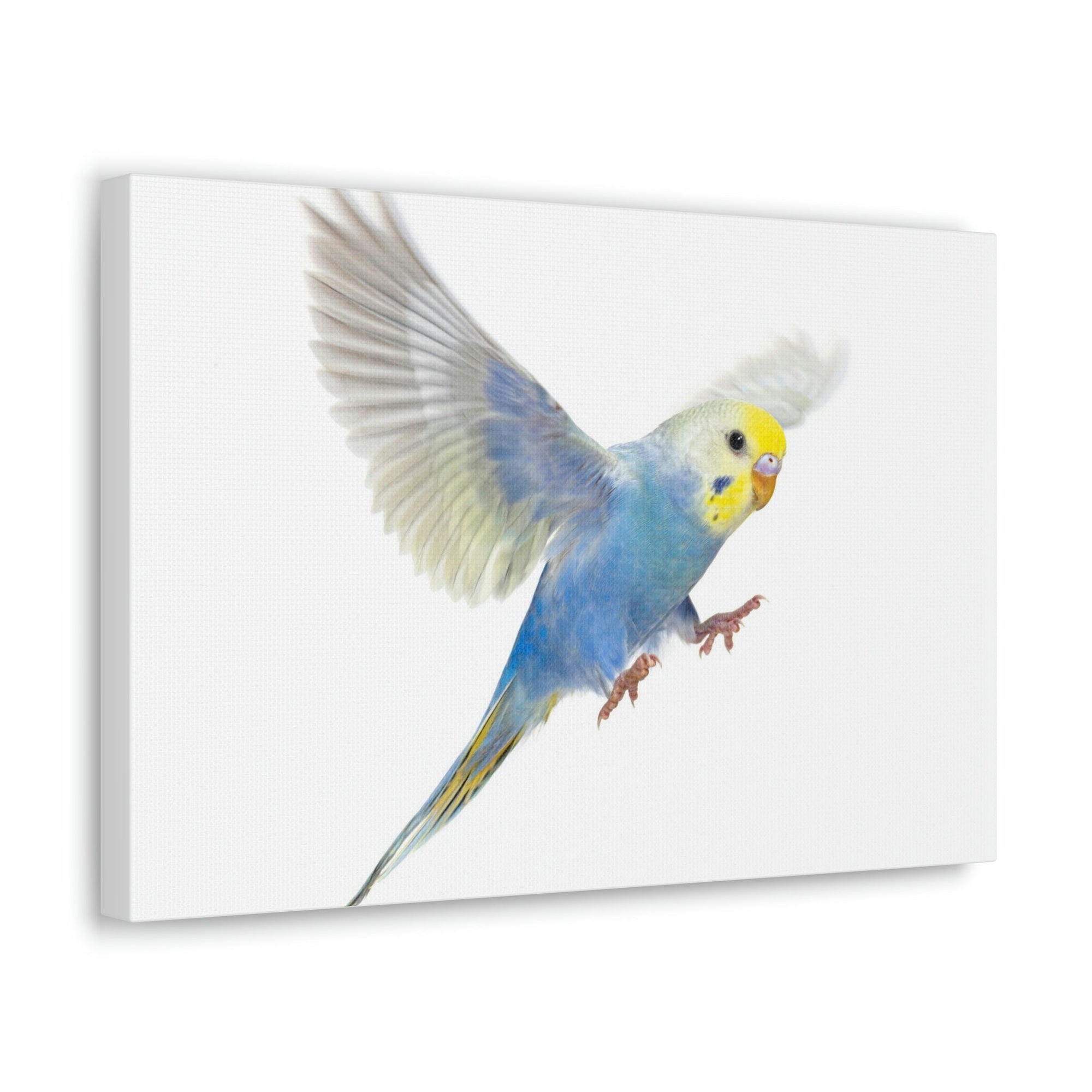 Scripture Walls Budgie Hunting Budgie on Hunt Print Animal Wall Art Wildlife Canvas Prints Wall Art Ready to Hang Unframed-Express Your Love Gifts