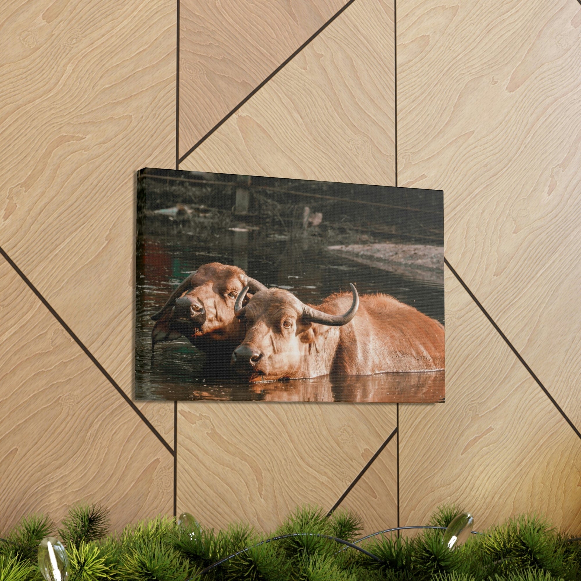 Scripture Walls Buffalo Couple Buffalo Troop Print Animal Wall Art Wildlife Canvas Prints Wall Art Ready to Hang Unframed-Express Your Love Gifts