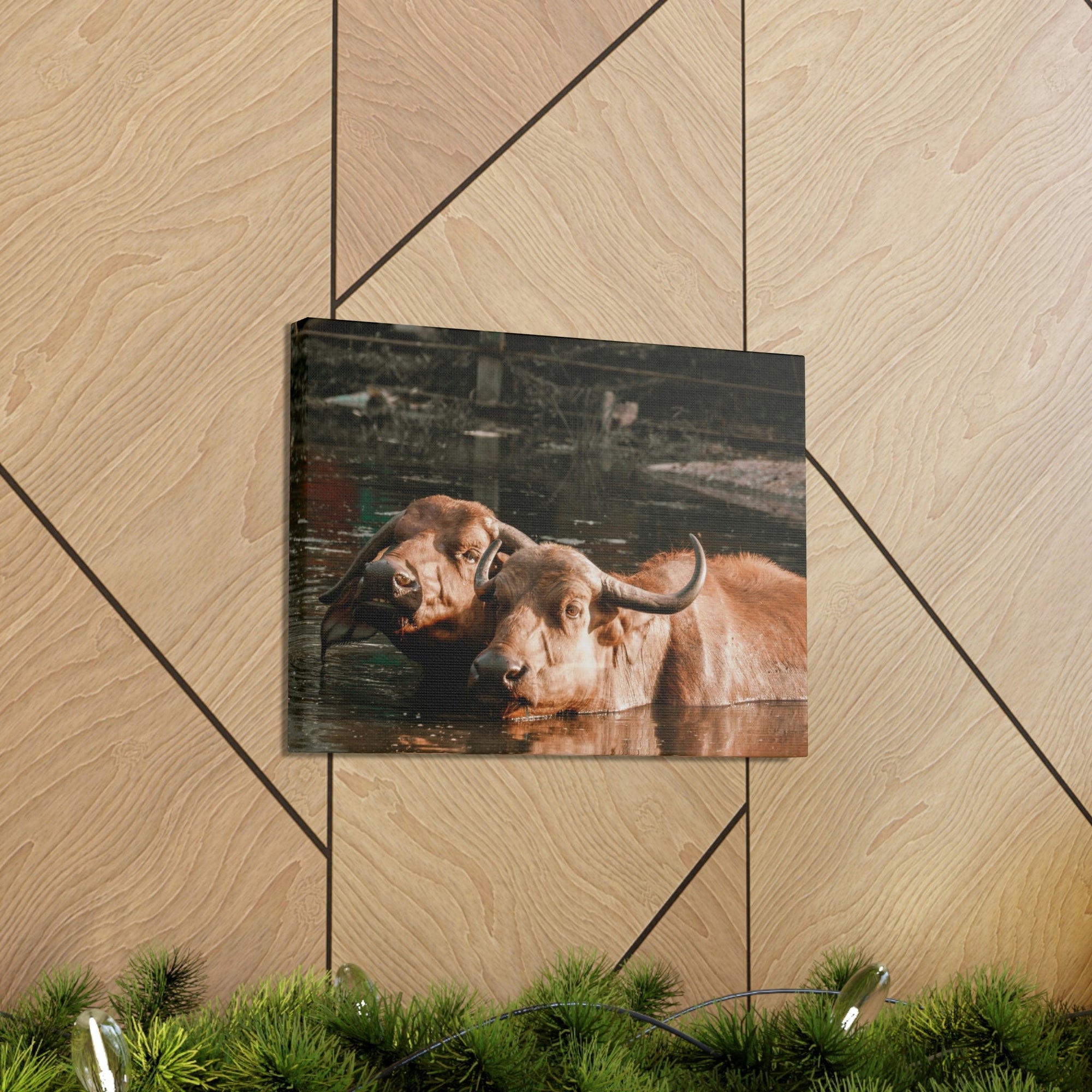 Scripture Walls Buffalo Couple Buffalo Troop Print Animal Wall Art Wildlife Canvas Prints Wall Art Ready to Hang Unframed-Express Your Love Gifts