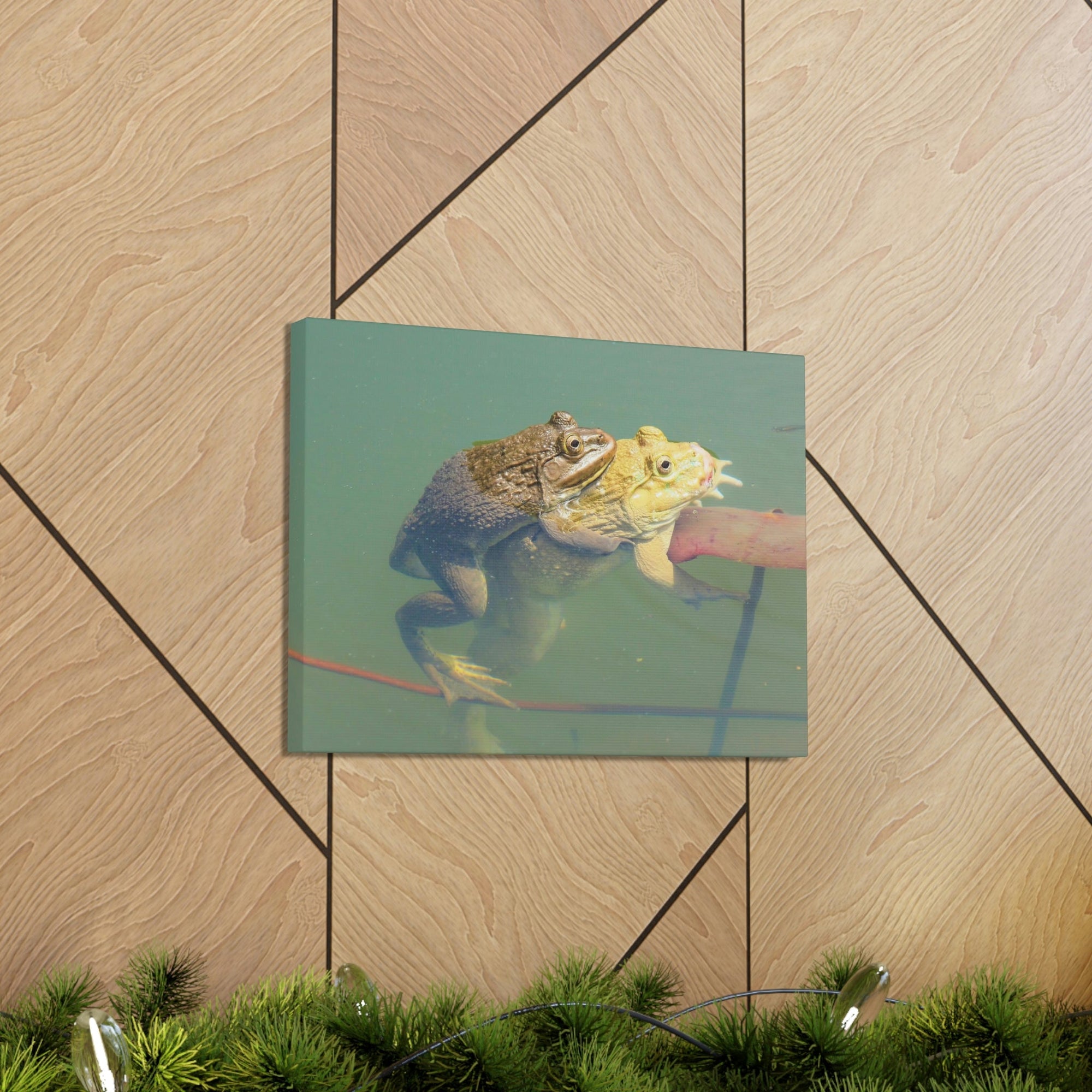 Scripture Walls Bull Frog Couple Bull Frog Troop Print Animal Wall Art Wildlife Canvas Prints Wall Art Ready to Hang Unframed-Express Your Love Gifts