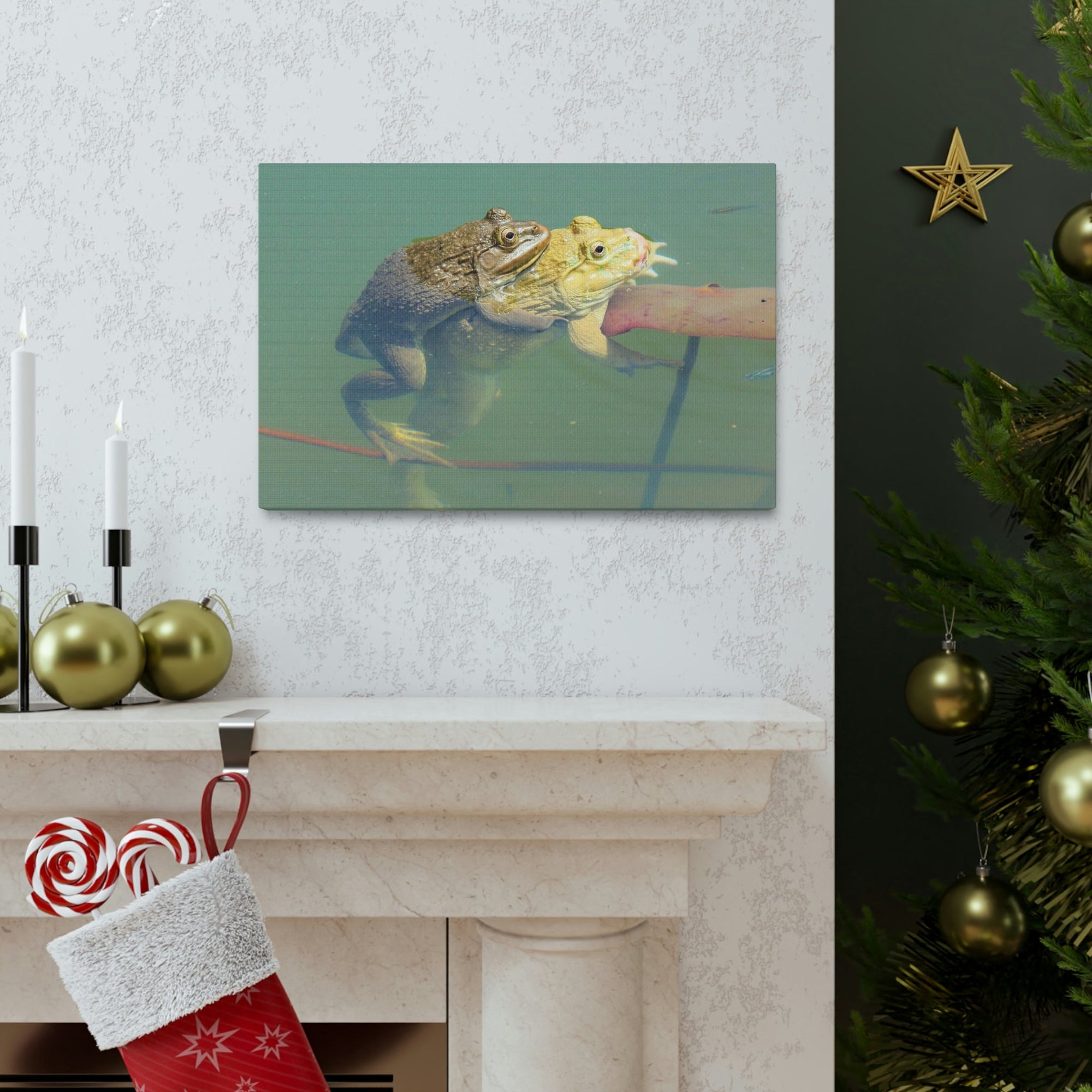 Scripture Walls Bull Frog Couple Bull Frog Troop Print Animal Wall Art Wildlife Canvas Prints Wall Art Ready to Hang Unframed-Express Your Love Gifts