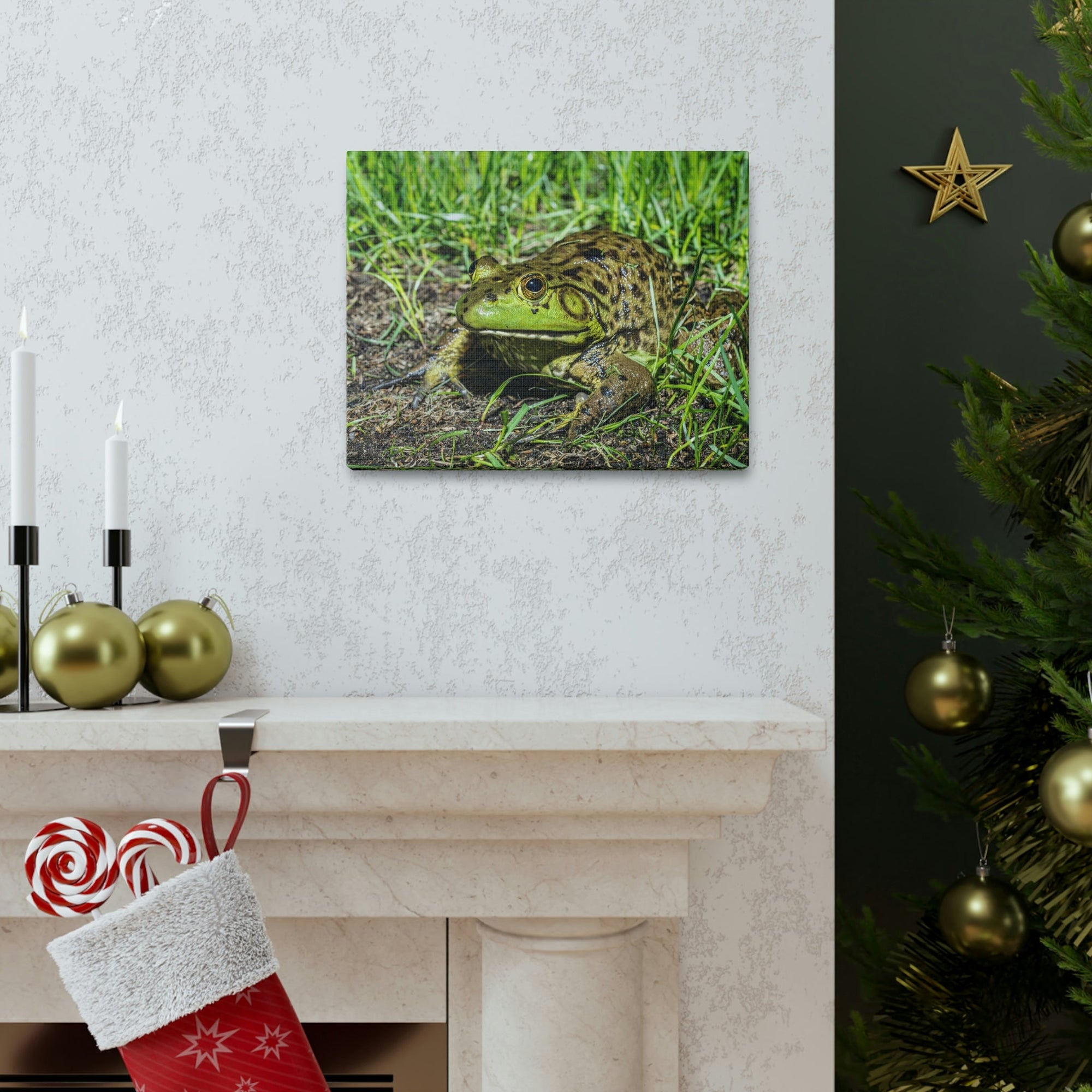 Scripture Walls Bull Frog Hunting Bull Frog on Hunt Print Animal Wall Art Wildlife Canvas Prints Wall Art Ready to Hang Unframed-Express Your Love Gifts