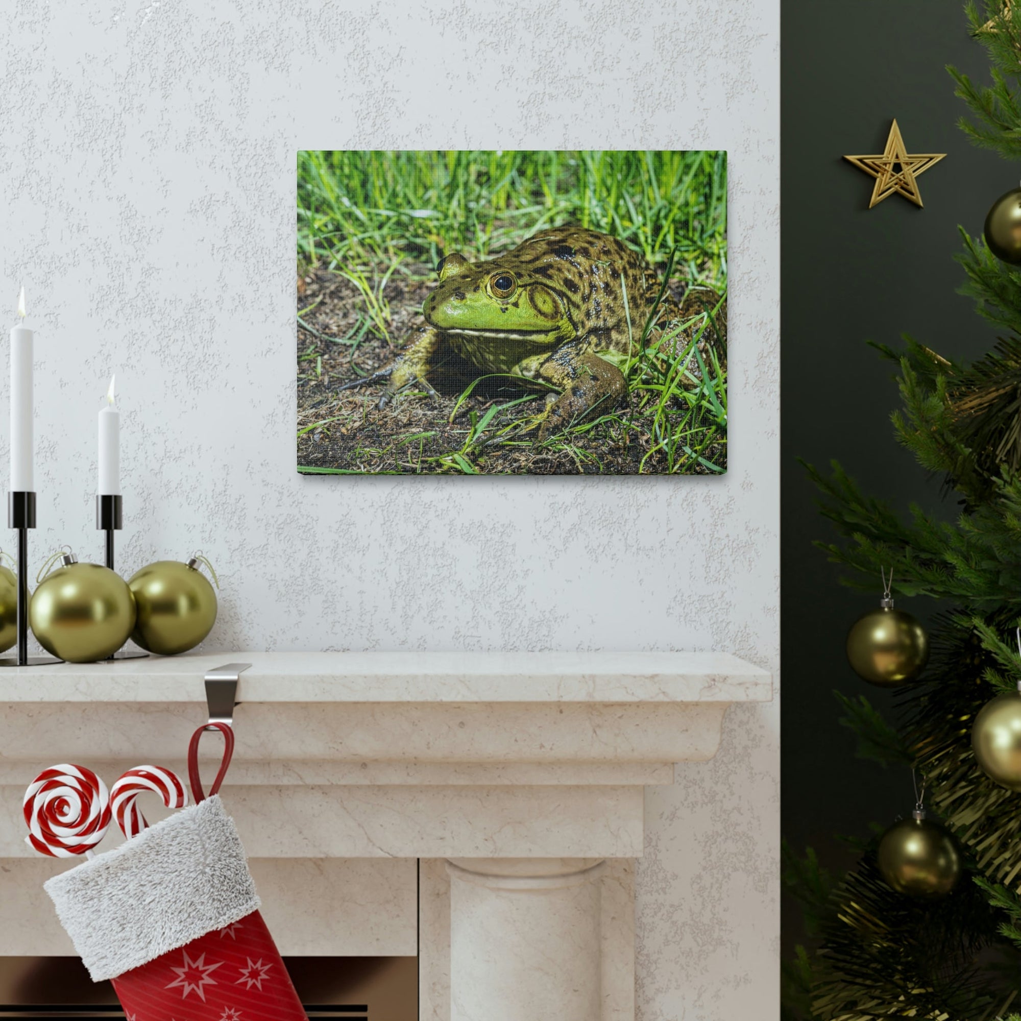 Scripture Walls Bull Frog Hunting Bull Frog on Hunt Print Animal Wall Art Wildlife Canvas Prints Wall Art Ready to Hang Unframed-Express Your Love Gifts