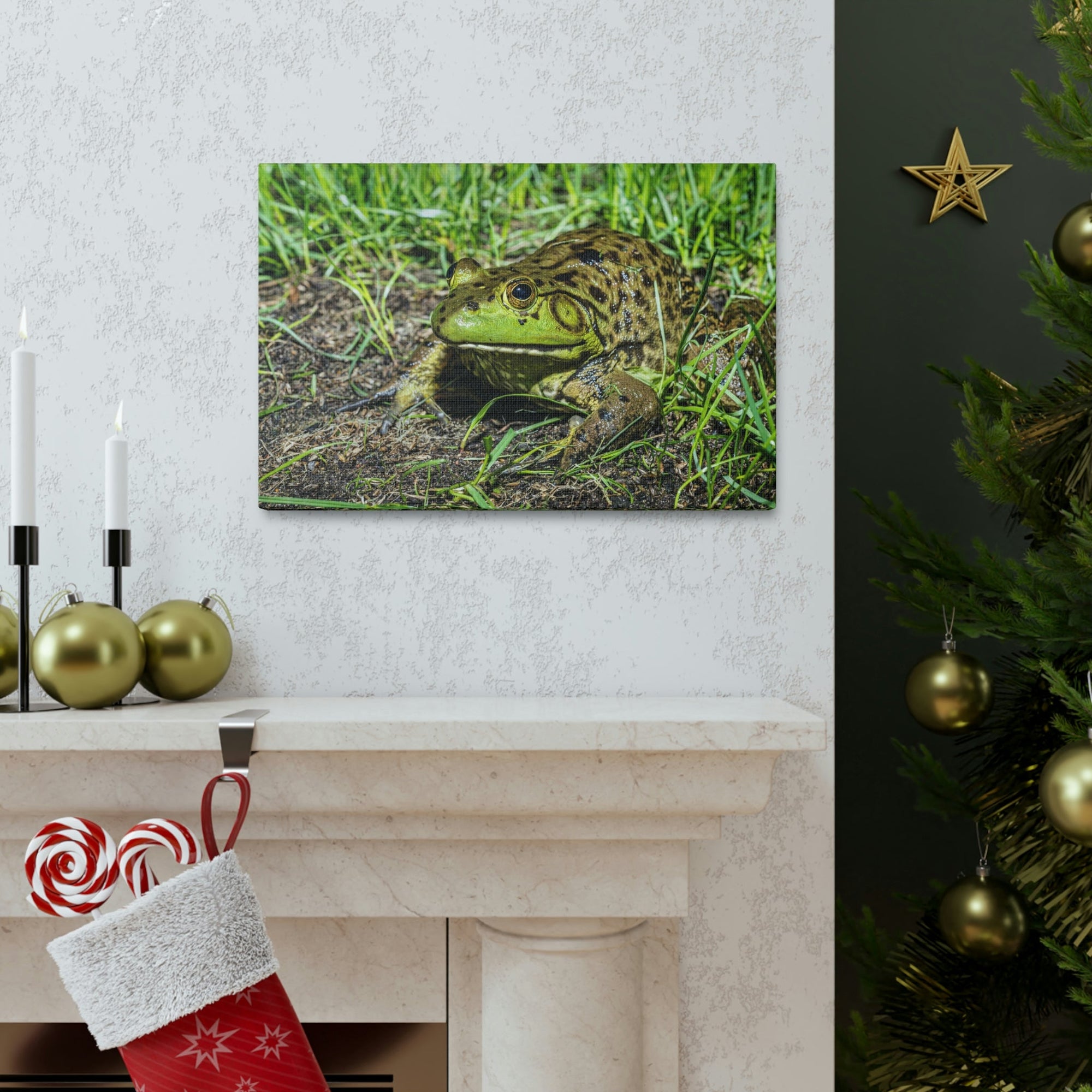 Scripture Walls Bull Frog Hunting Bull Frog on Hunt Print Animal Wall Art Wildlife Canvas Prints Wall Art Ready to Hang Unframed-Express Your Love Gifts