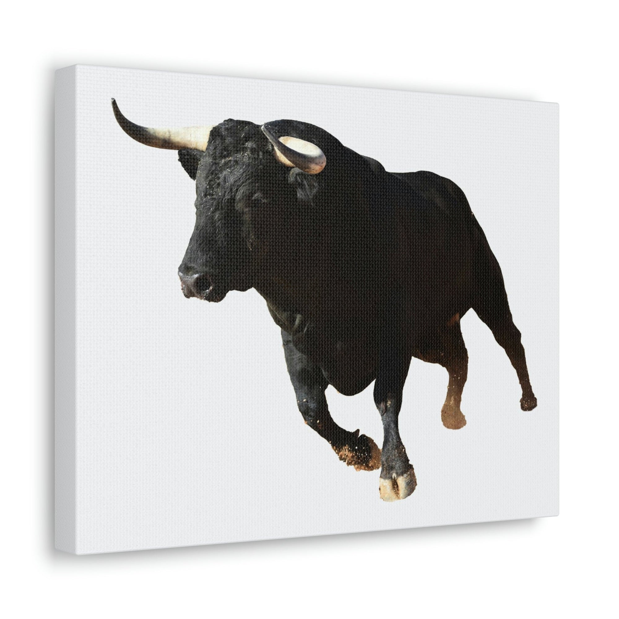 Scripture Walls Bull Hunting Bull on Hunt Print Animal Wall Art Wildlife Canvas Prints Wall Art Ready to Hang Unframed-Express Your Love Gifts