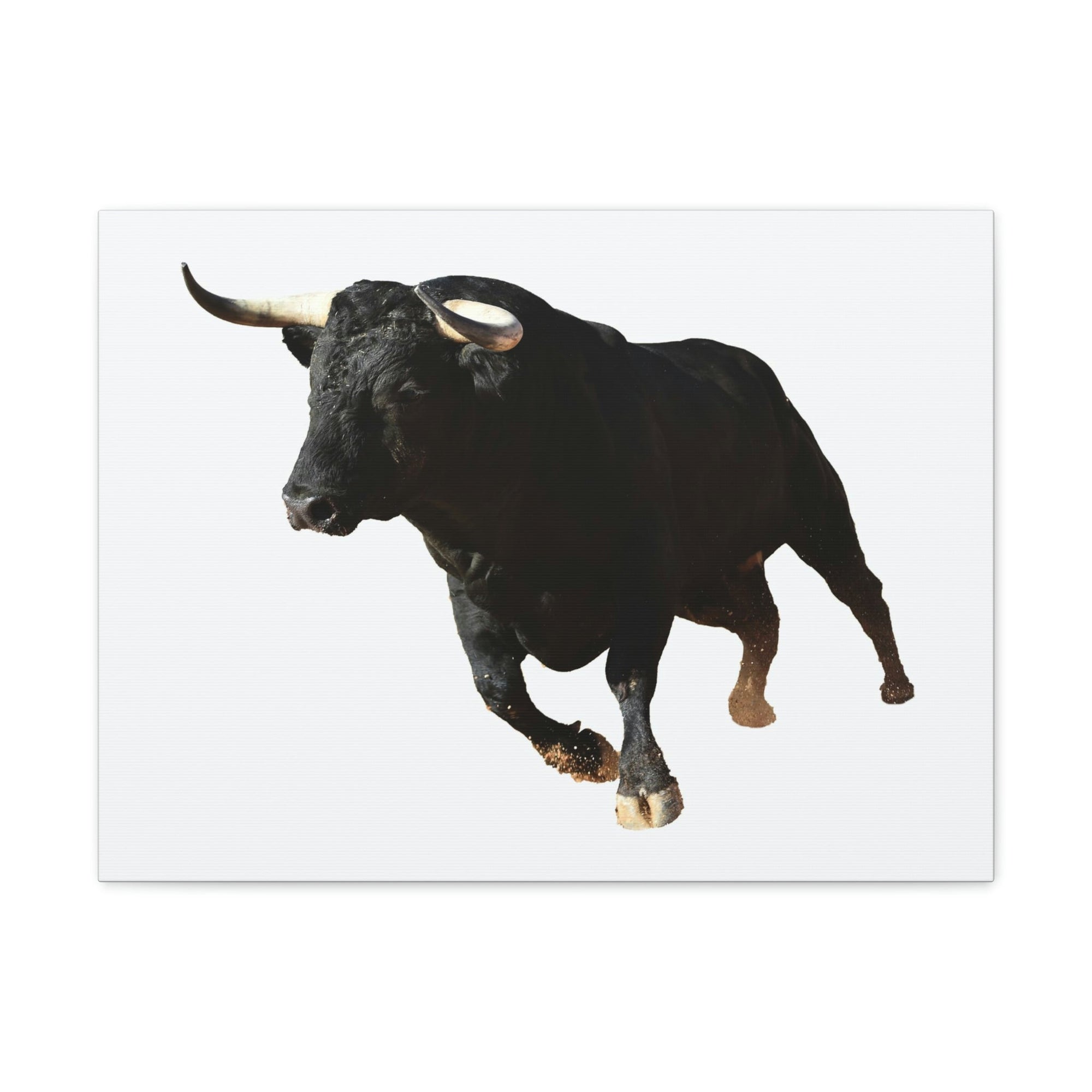 Scripture Walls Bull Hunting Bull on Hunt Print Animal Wall Art Wildlife Canvas Prints Wall Art Ready to Hang Unframed-Express Your Love Gifts