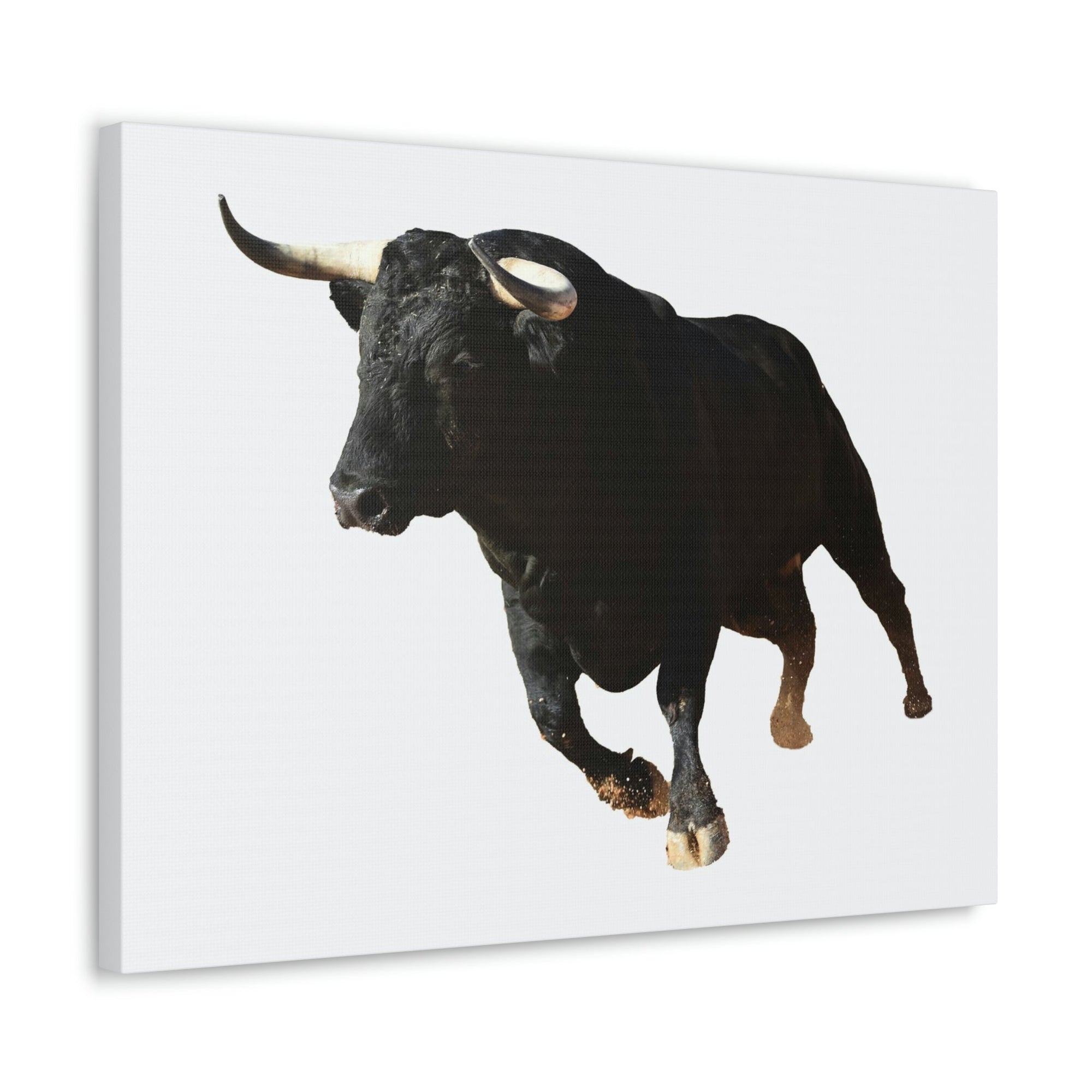 Scripture Walls Bull Hunting Bull on Hunt Print Animal Wall Art Wildlife Canvas Prints Wall Art Ready to Hang Unframed-Express Your Love Gifts