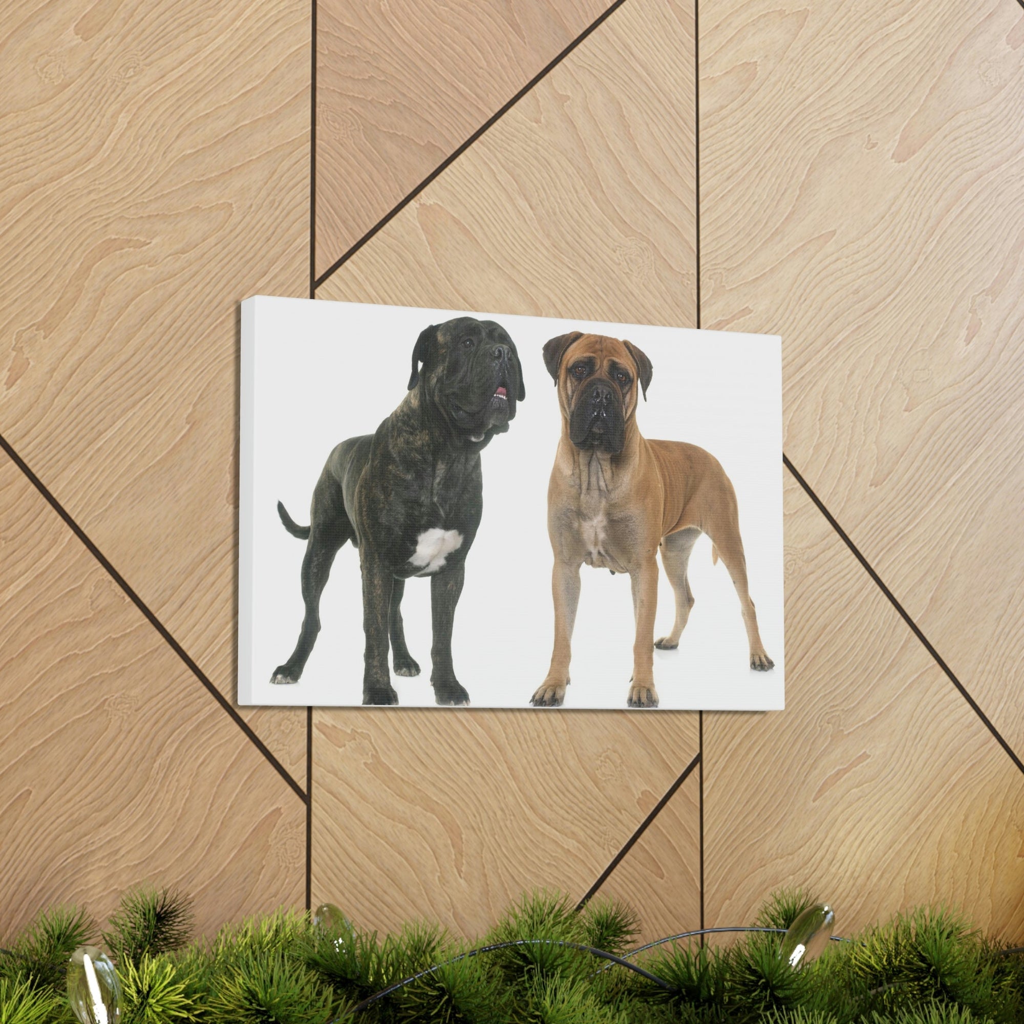 Scripture Walls Bull Mastiff Couple Bull Mastiff Troop Print Animal Wall Art Wildlife Canvas Prints Wall Art Ready to Hang Unframed-Express Your Love Gifts