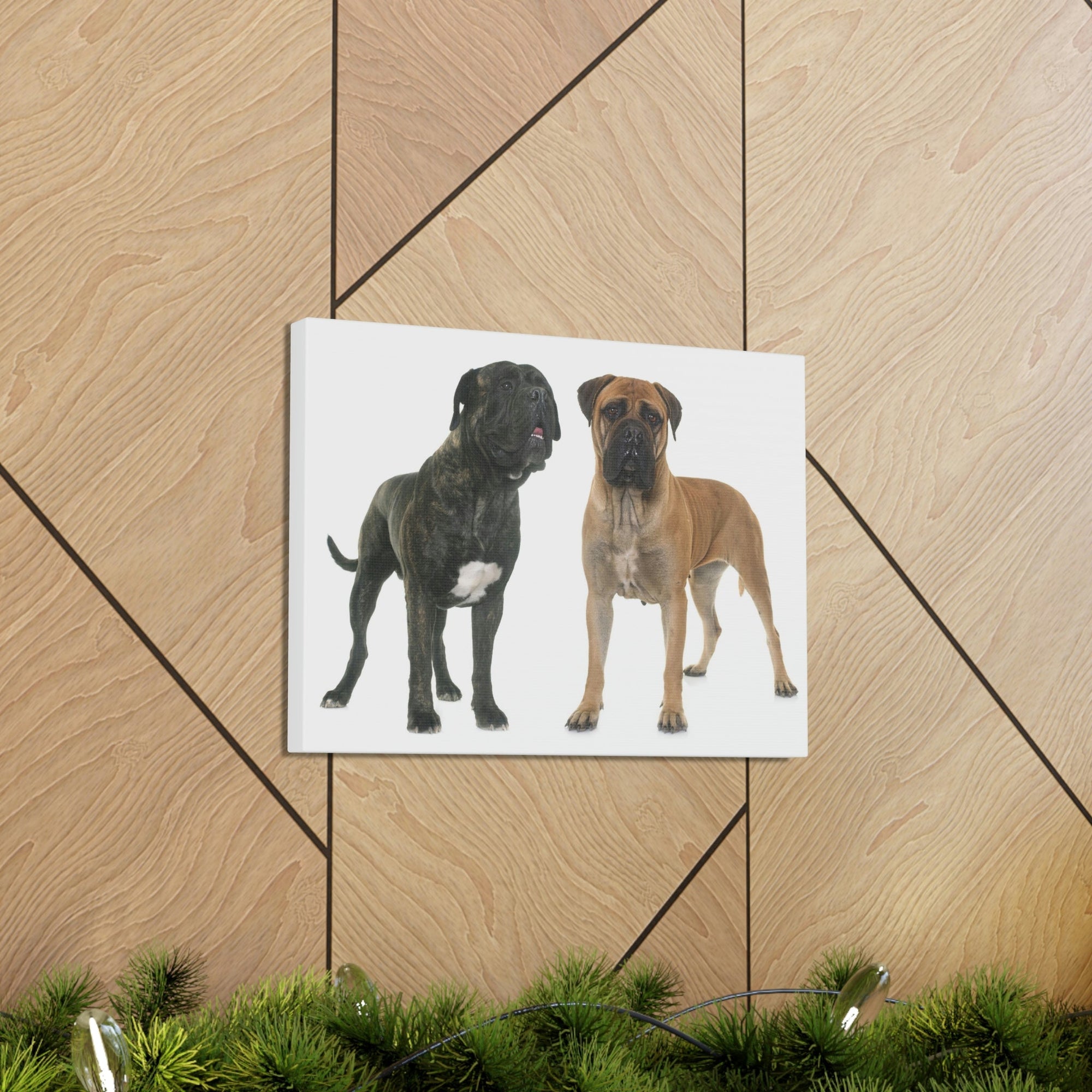 Scripture Walls Bull Mastiff Couple Bull Mastiff Troop Print Animal Wall Art Wildlife Canvas Prints Wall Art Ready to Hang Unframed-Express Your Love Gifts