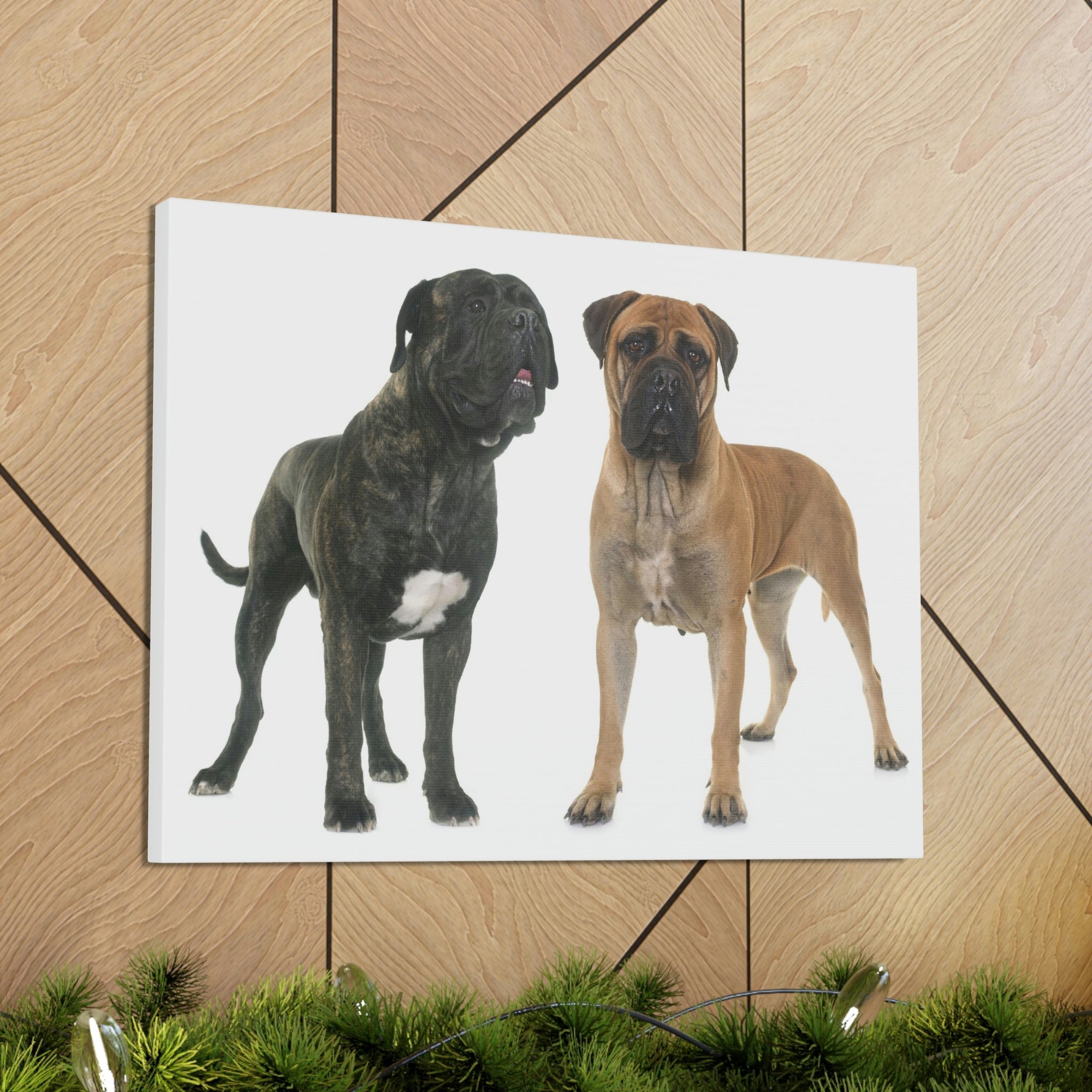 Scripture Walls Bull Mastiff Couple Bull Mastiff Troop Print Animal Wall Art Wildlife Canvas Prints Wall Art Ready to Hang Unframed-Express Your Love Gifts