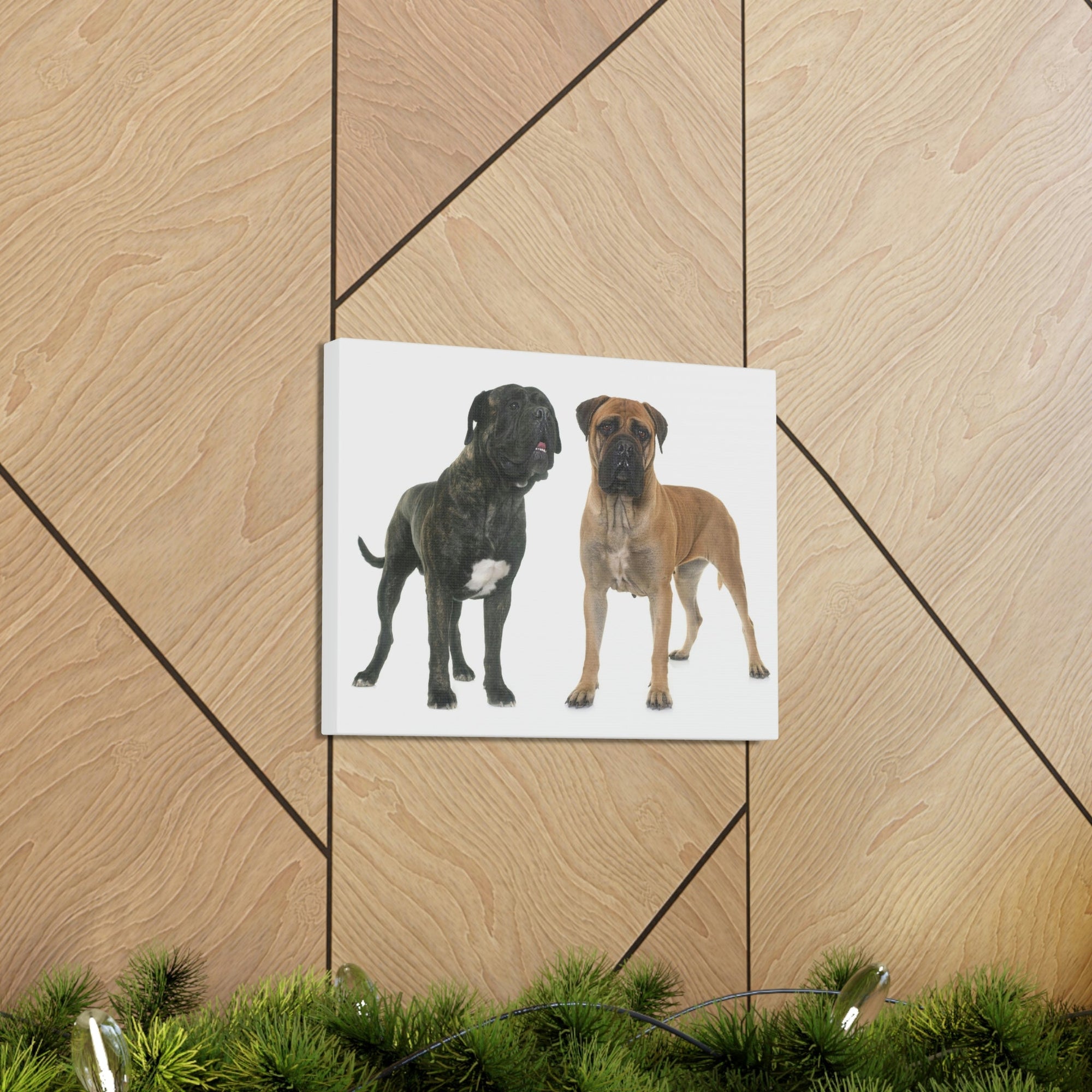 Scripture Walls Bull Mastiff Couple Bull Mastiff Troop Print Animal Wall Art Wildlife Canvas Prints Wall Art Ready to Hang Unframed-Express Your Love Gifts