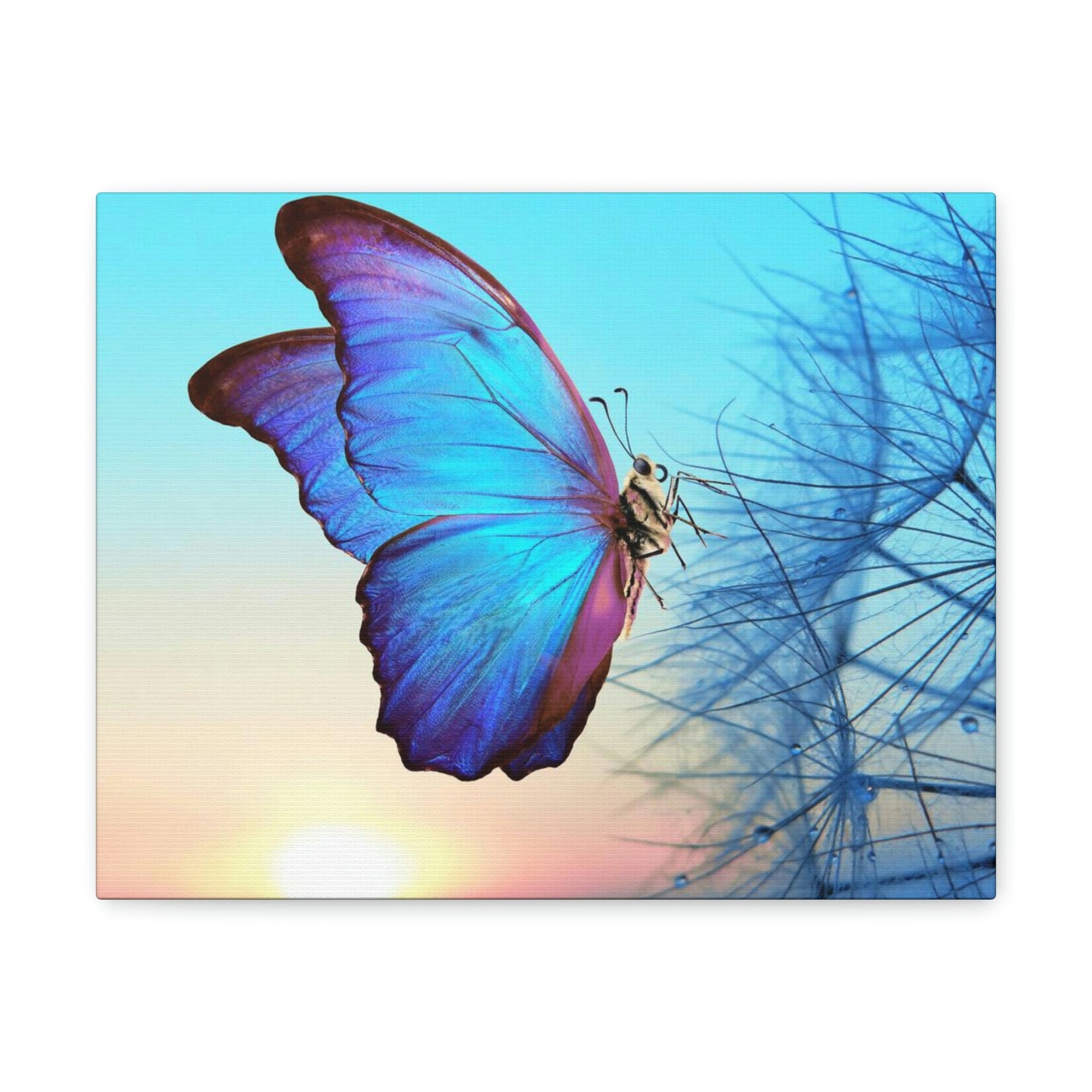 Scripture Walls Butterfly Hunting Butterfly on Hunt Print Animal Wall Art Wildlife Canvas Prints Wall Art Ready to Hang Unframed-Express Your Love Gifts