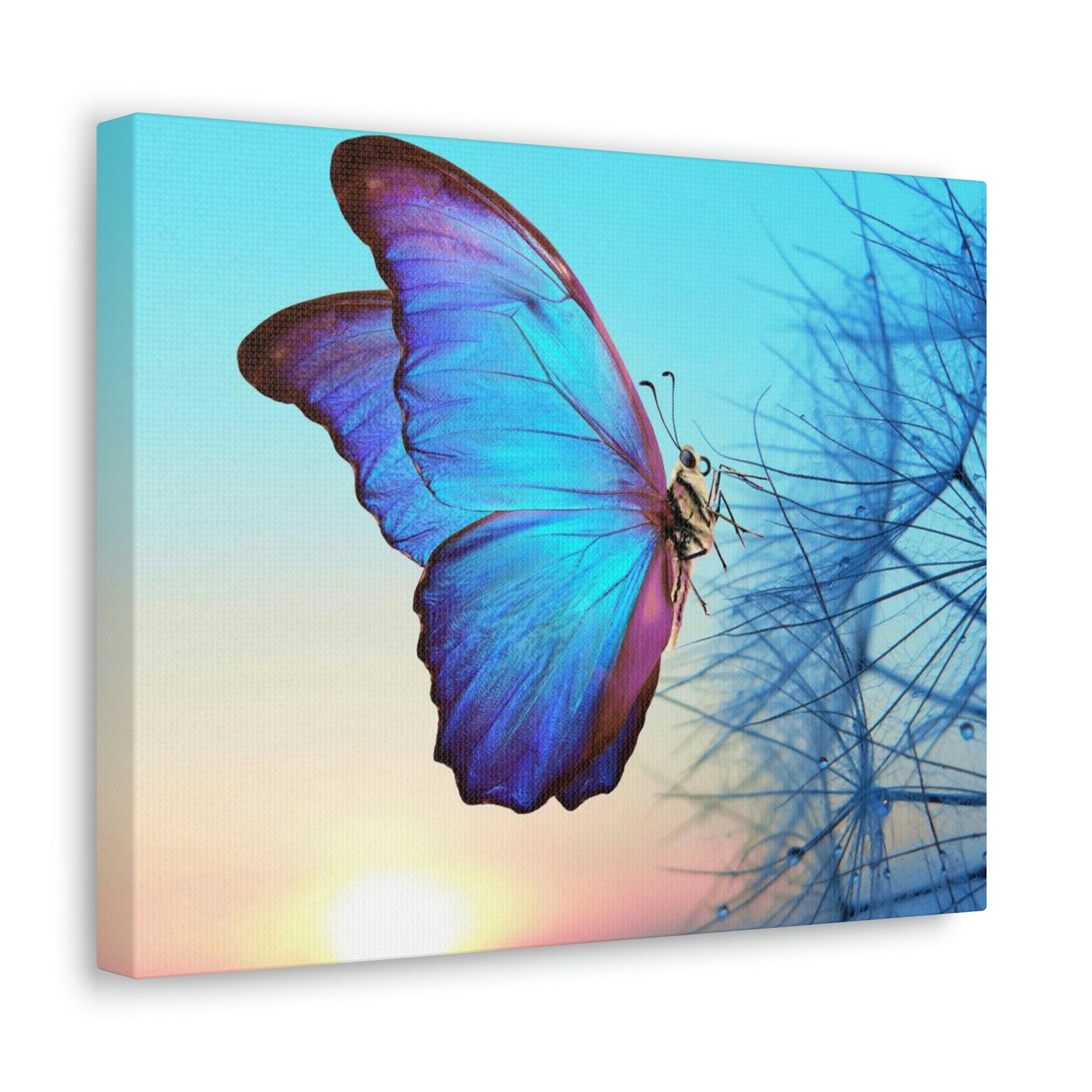 Scripture Walls Butterfly Hunting Butterfly on Hunt Print Animal Wall Art Wildlife Canvas Prints Wall Art Ready to Hang Unframed-Express Your Love Gifts