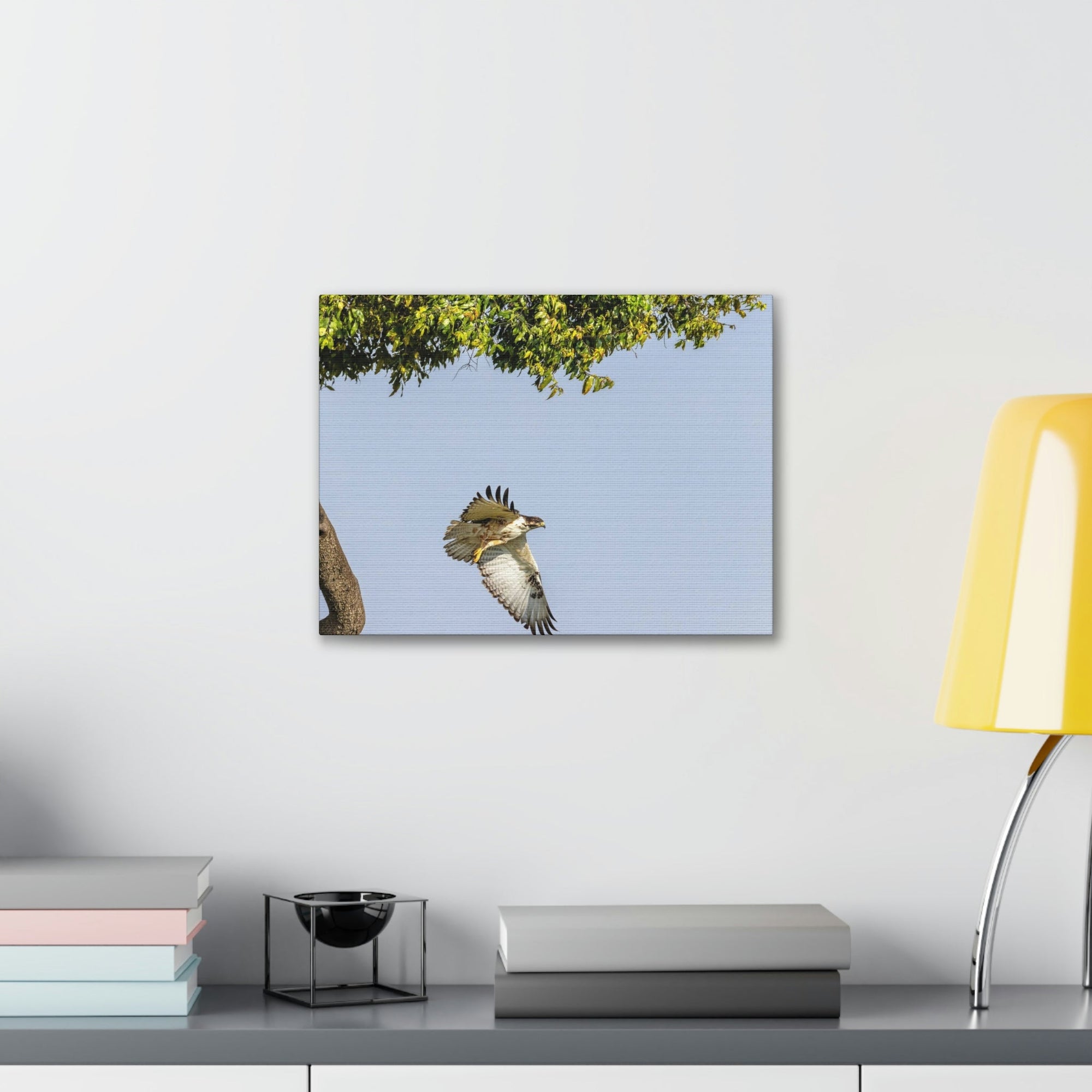 Scripture Walls Buzzard Hunting Buzzard on Hunt Print Animal Wall Art Wildlife Canvas Prints Wall Art Ready to Hang Unframed-Express Your Love Gifts