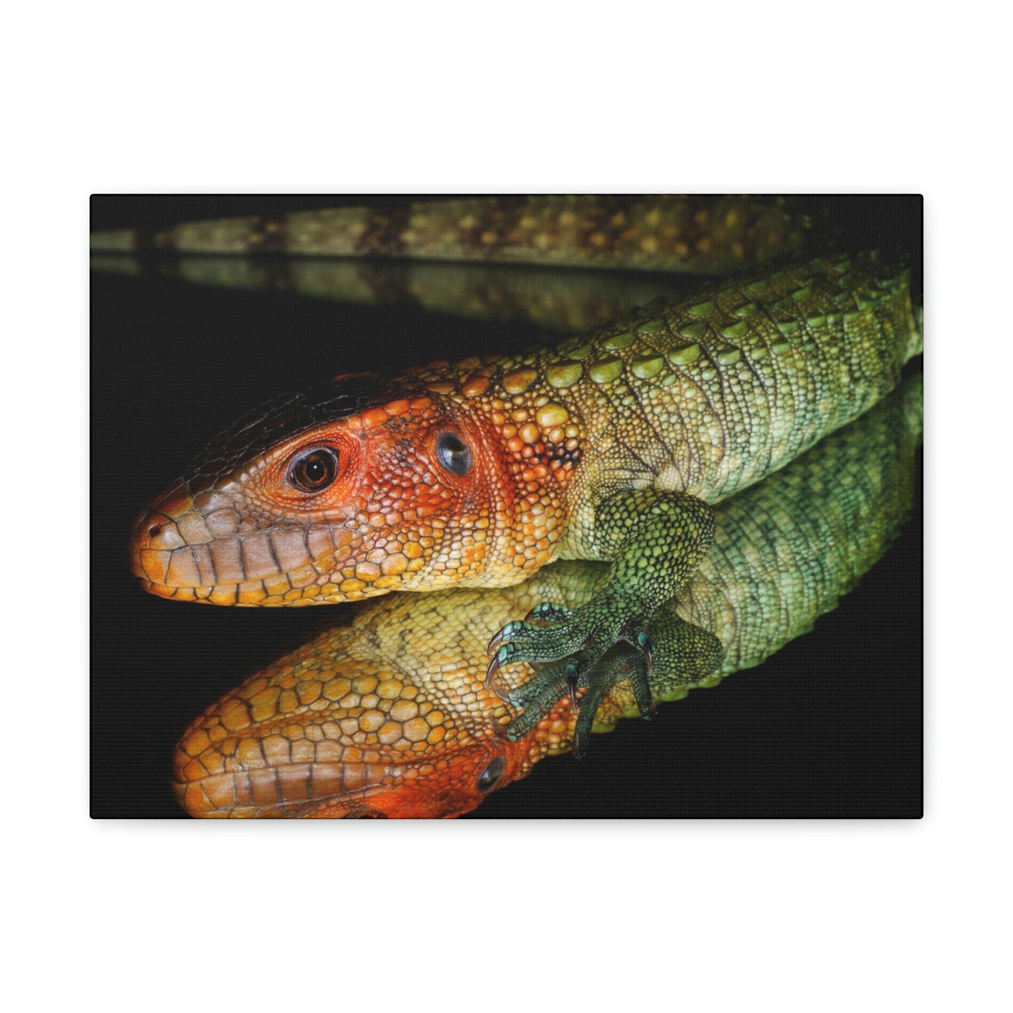 Scripture Walls Caiman Lizard Hunting Caiman Lizard on Hunt Print Animal Wall Art Wildlife Canvas Prints Wall Art Ready to Hang Unframed-Express Your Love Gifts