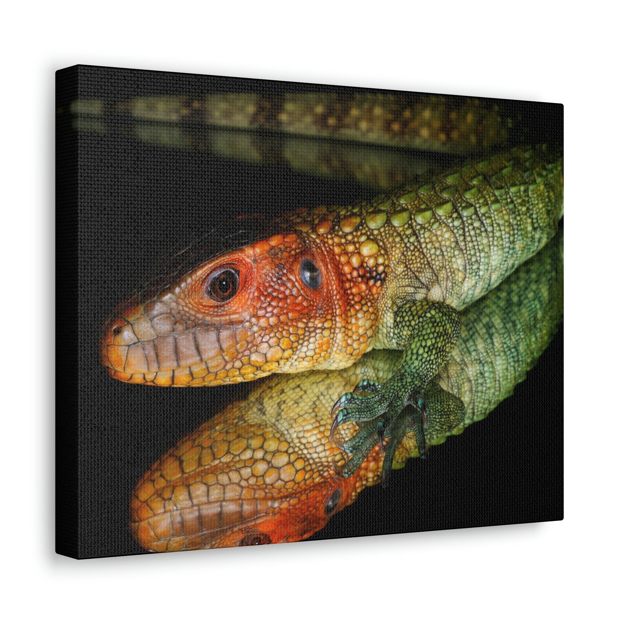 Scripture Walls Caiman Lizard Hunting Caiman Lizard on Hunt Print Animal Wall Art Wildlife Canvas Prints Wall Art Ready to Hang Unframed-Express Your Love Gifts