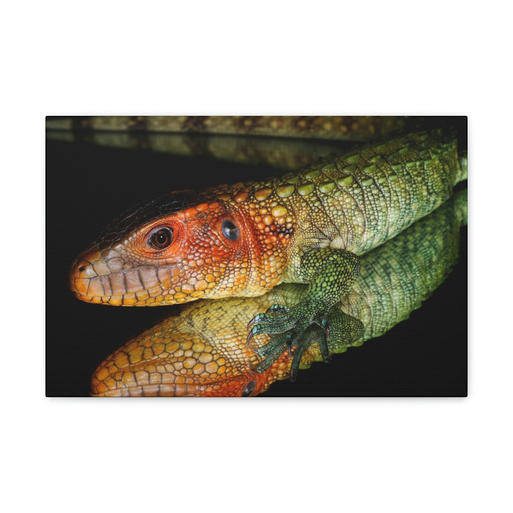 Scripture Walls Caiman Lizard Hunting Caiman Lizard on Hunt Print Animal Wall Art Wildlife Canvas Prints Wall Art Ready to Hang Unframed-Express Your Love Gifts