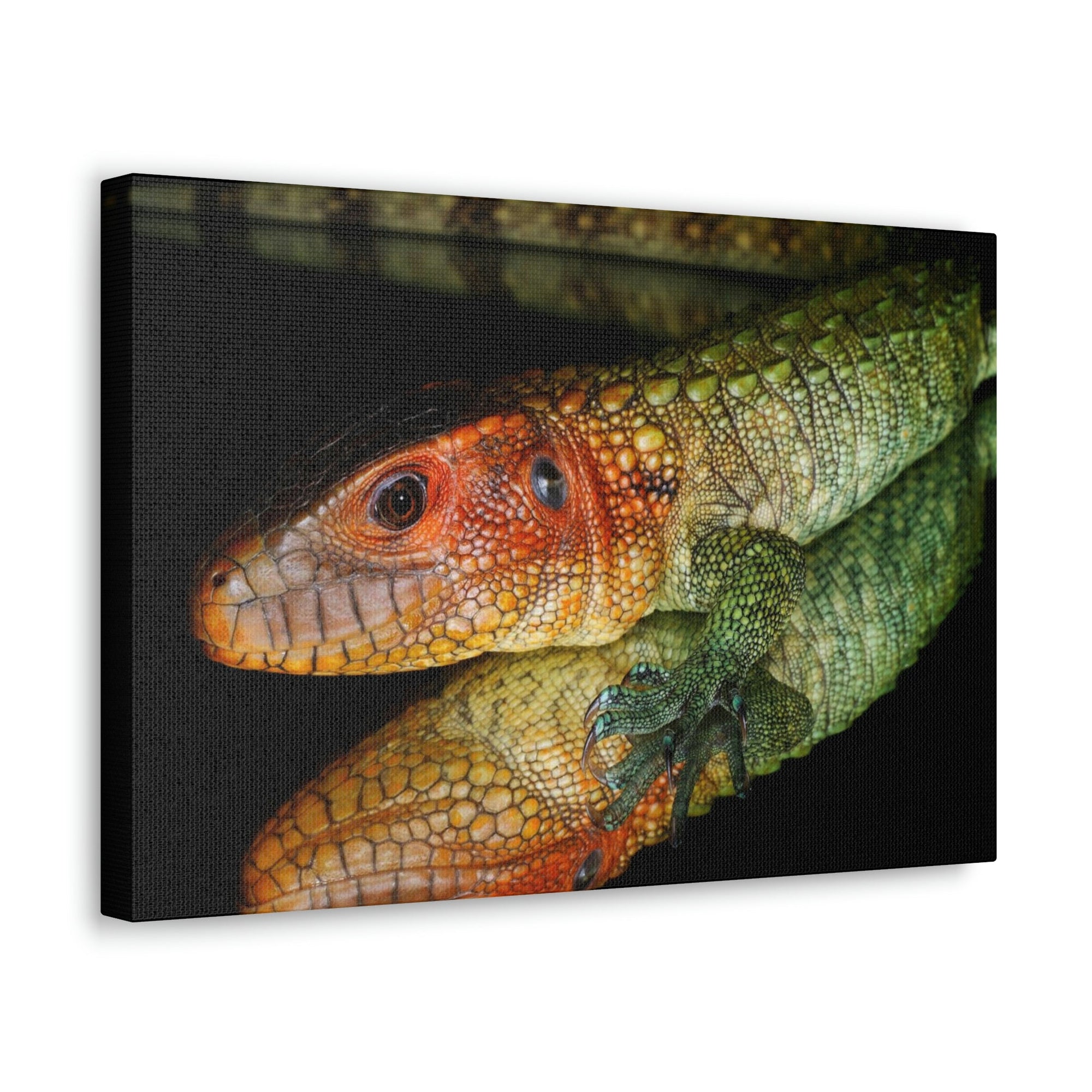 Scripture Walls Caiman Lizard Hunting Caiman Lizard on Hunt Print Animal Wall Art Wildlife Canvas Prints Wall Art Ready to Hang Unframed-Express Your Love Gifts