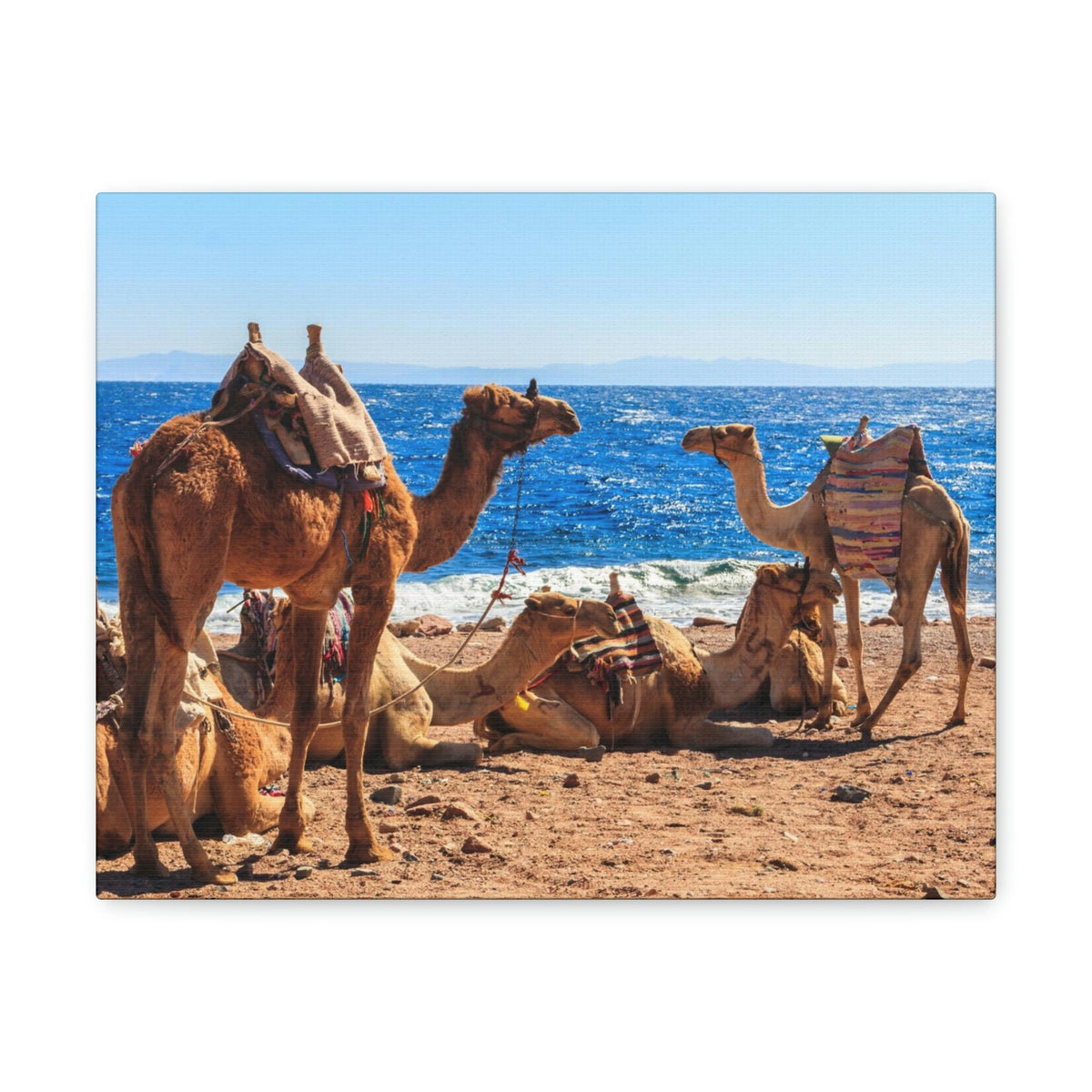 Scripture Walls Camel Couple Camel Troop Print Animal Wall Art Wildlife Canvas Prints Wall Art Ready to Han Unframed-Express Your Love Gifts