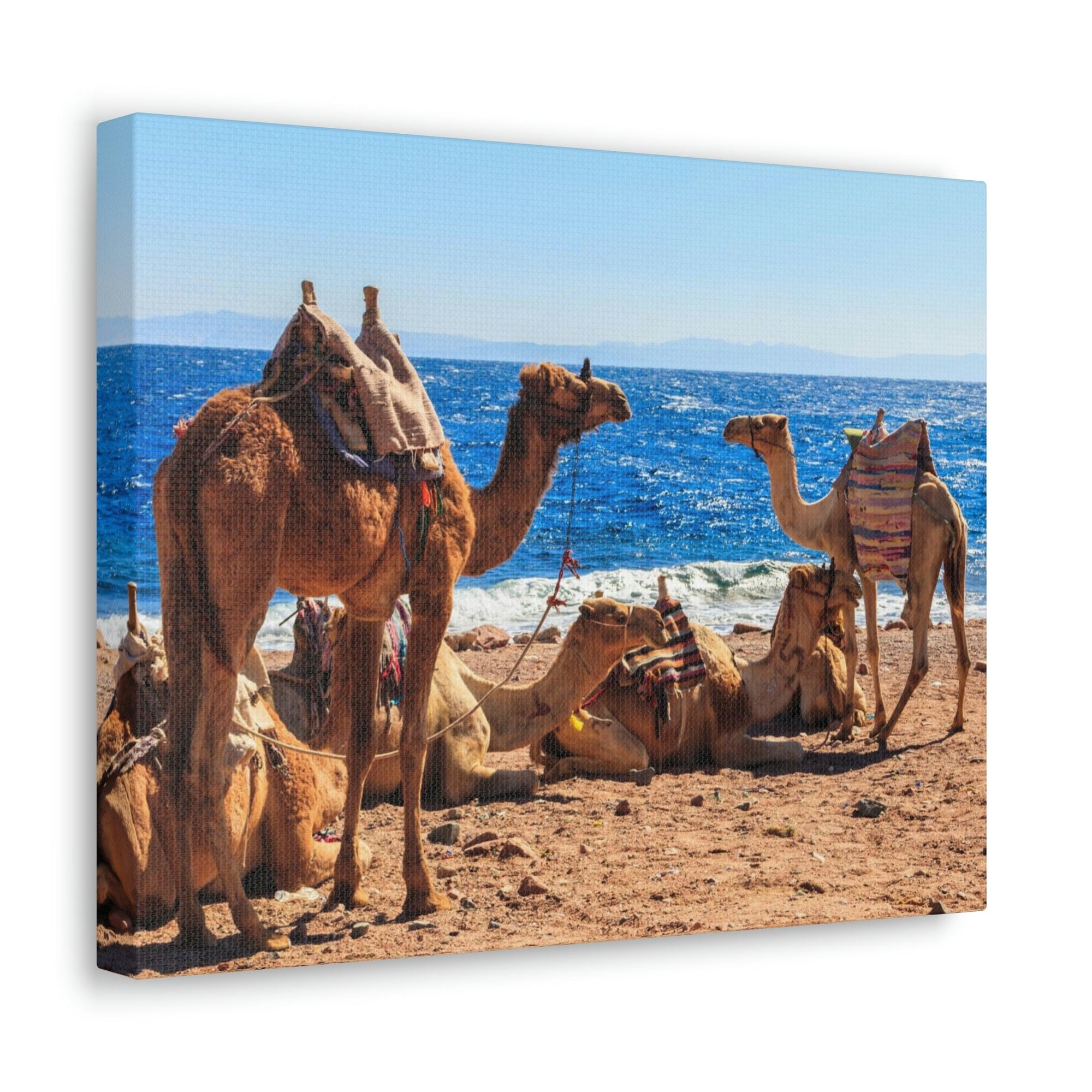 Scripture Walls Camel Couple Camel Troop Print Animal Wall Art Wildlife Canvas Prints Wall Art Ready to Han Unframed-Express Your Love Gifts