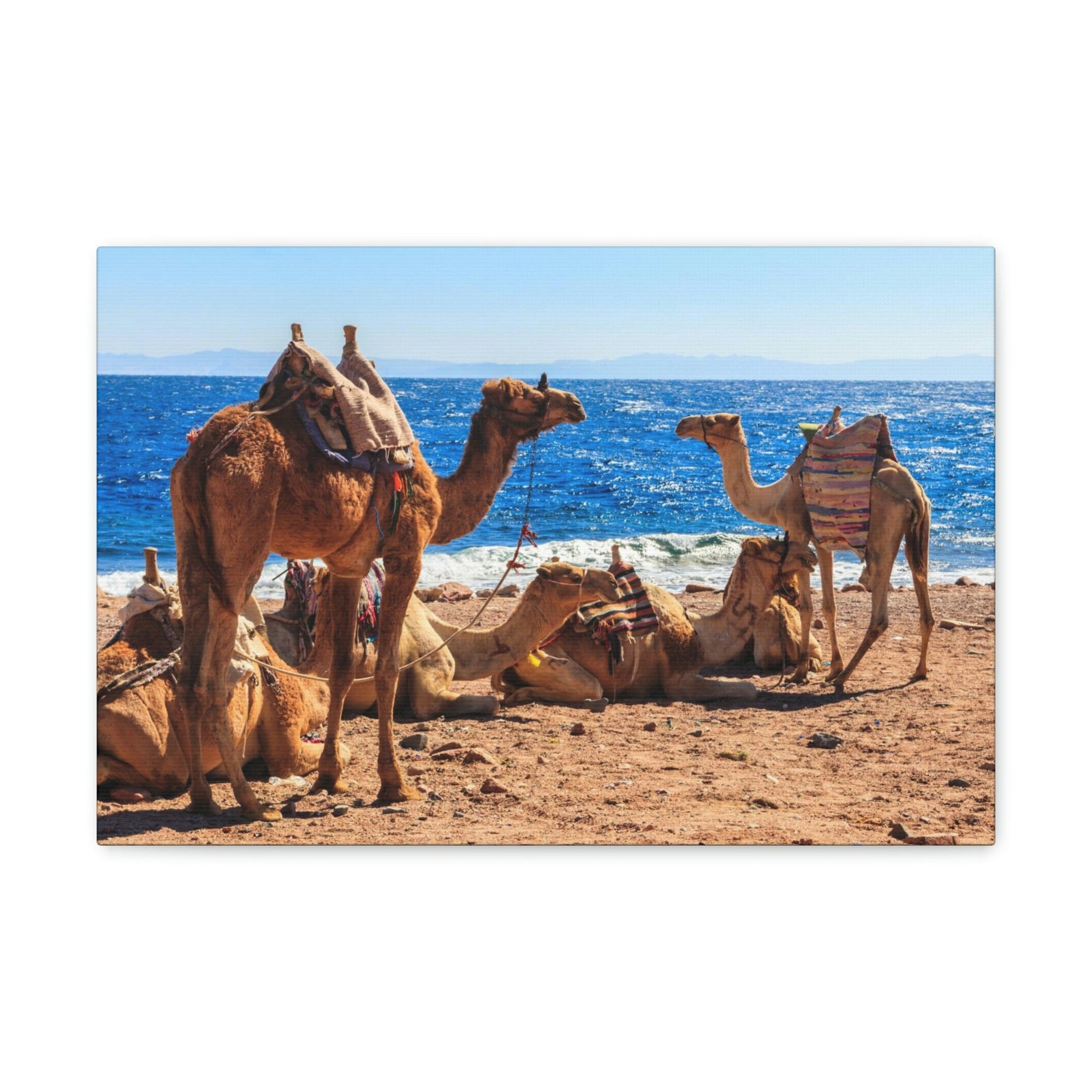 Scripture Walls Camel Couple Camel Troop Print Animal Wall Art Wildlife Canvas Prints Wall Art Ready to Han Unframed-Express Your Love Gifts