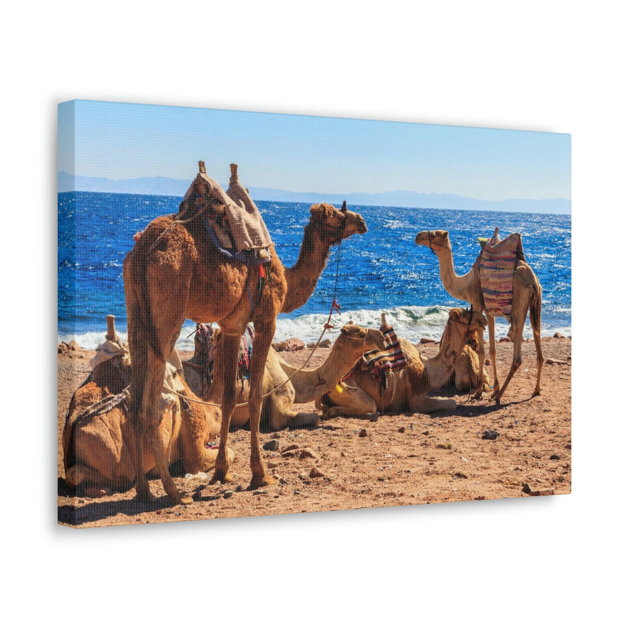 Scripture Walls Camel Couple Camel Troop Print Animal Wall Art Wildlife Canvas Prints Wall Art Ready to Han Unframed-Express Your Love Gifts