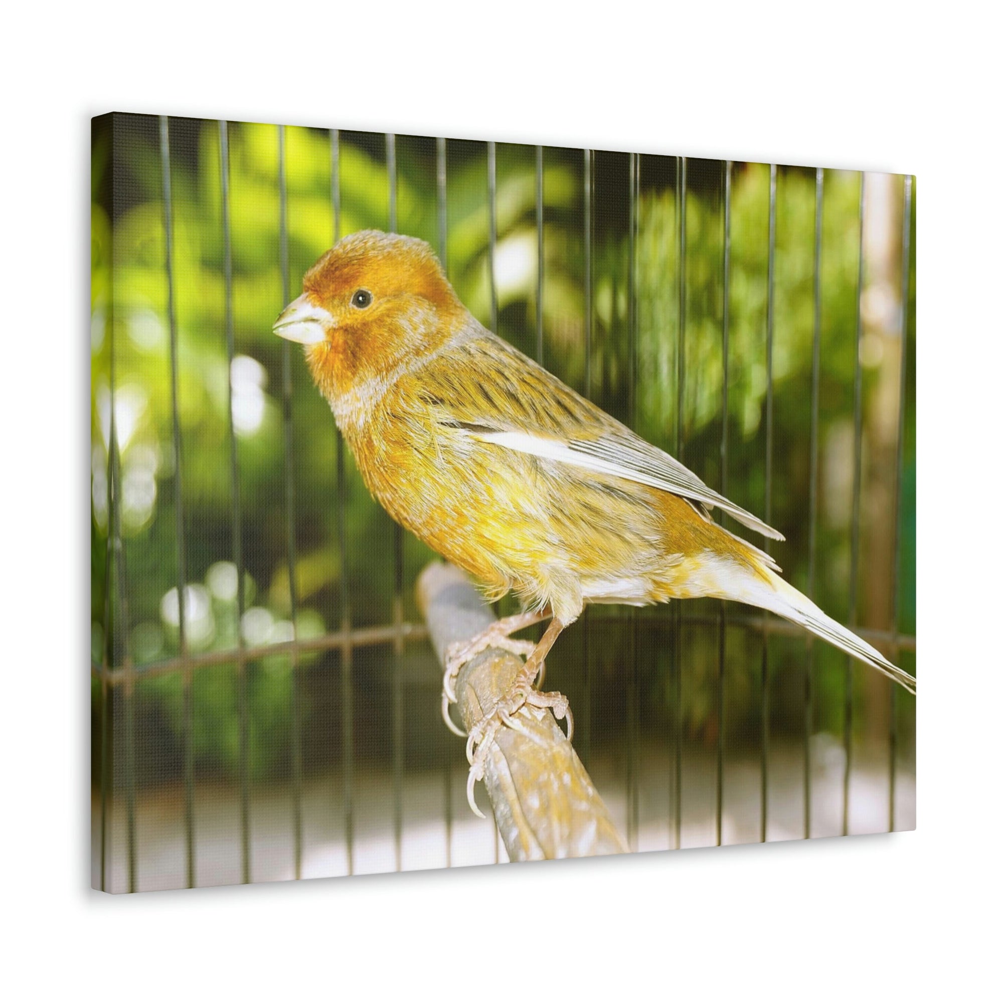 Scripture Walls Canary Hunting Canary on Hunt Print Animal Wall Art Wildlife Canvas Prints Wall Art Ready to Hang Unframed-Express Your Love Gifts