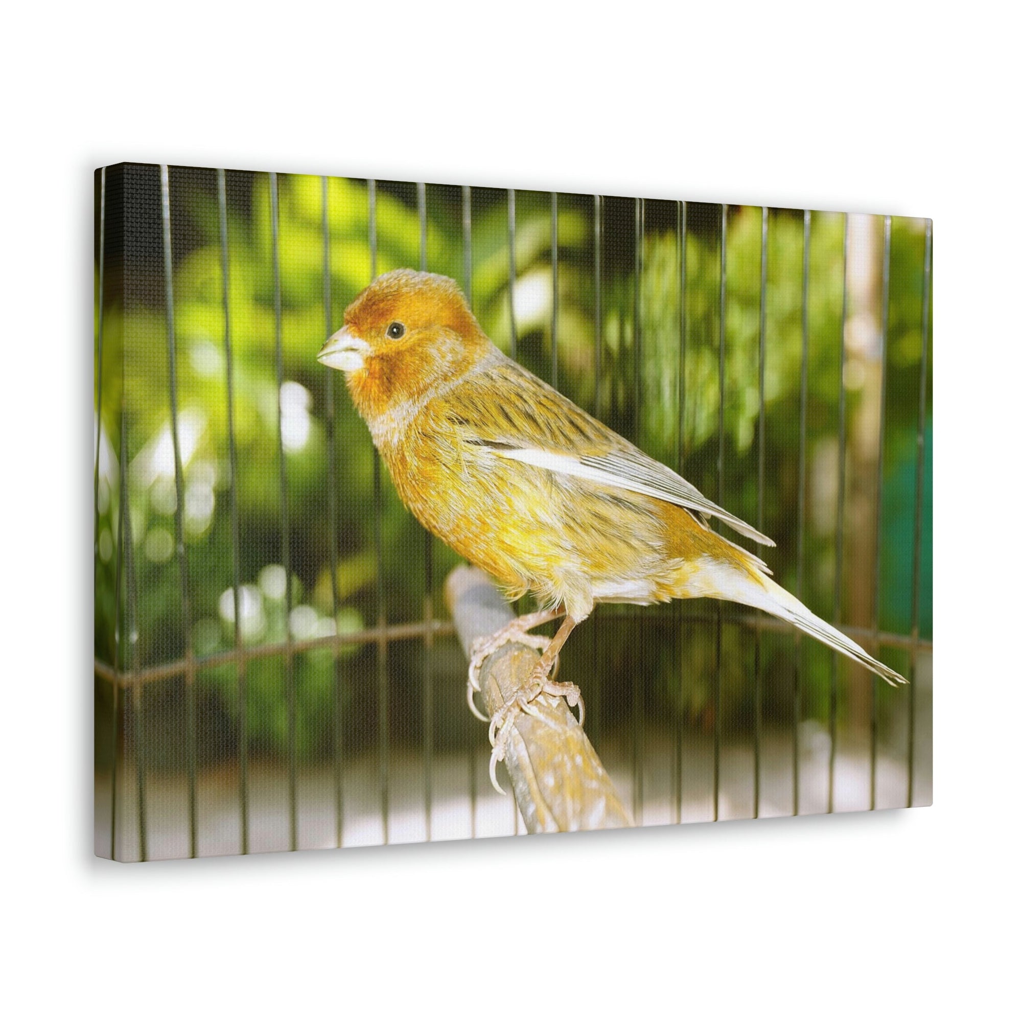 Scripture Walls Canary Hunting Canary on Hunt Print Animal Wall Art Wildlife Canvas Prints Wall Art Ready to Hang Unframed-Express Your Love Gifts