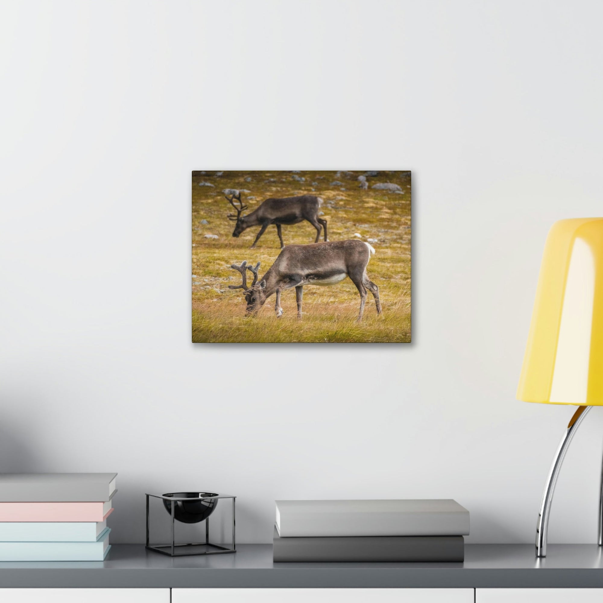 Scripture Walls Caribou Couple Caribou Troop Print Animal Wall Art Wildlife Canvas Prints Wall Art Ready to Hang Unframed-Express Your Love Gifts