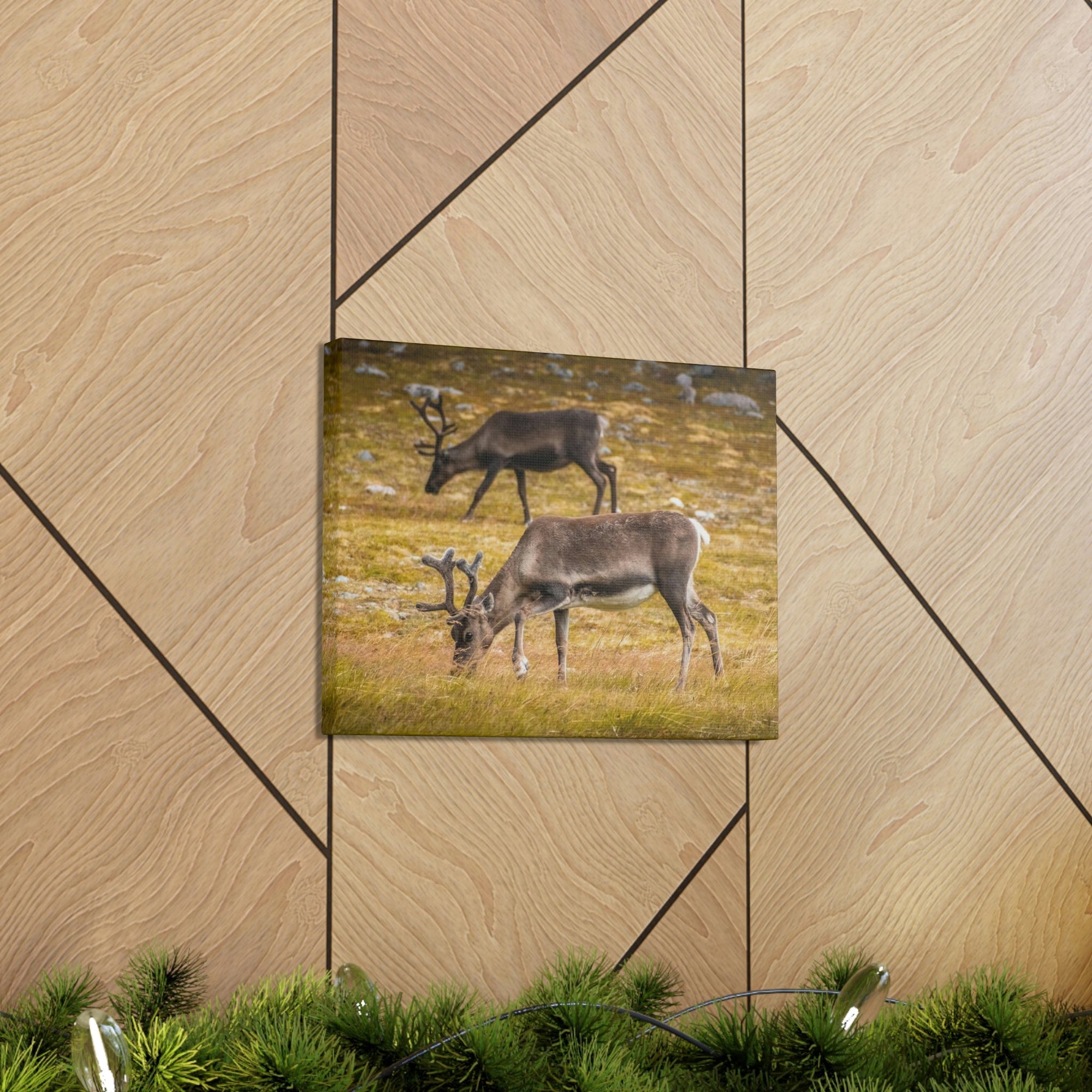 Scripture Walls Caribou Couple Caribou Troop Print Animal Wall Art Wildlife Canvas Prints Wall Art Ready to Hang Unframed-Express Your Love Gifts