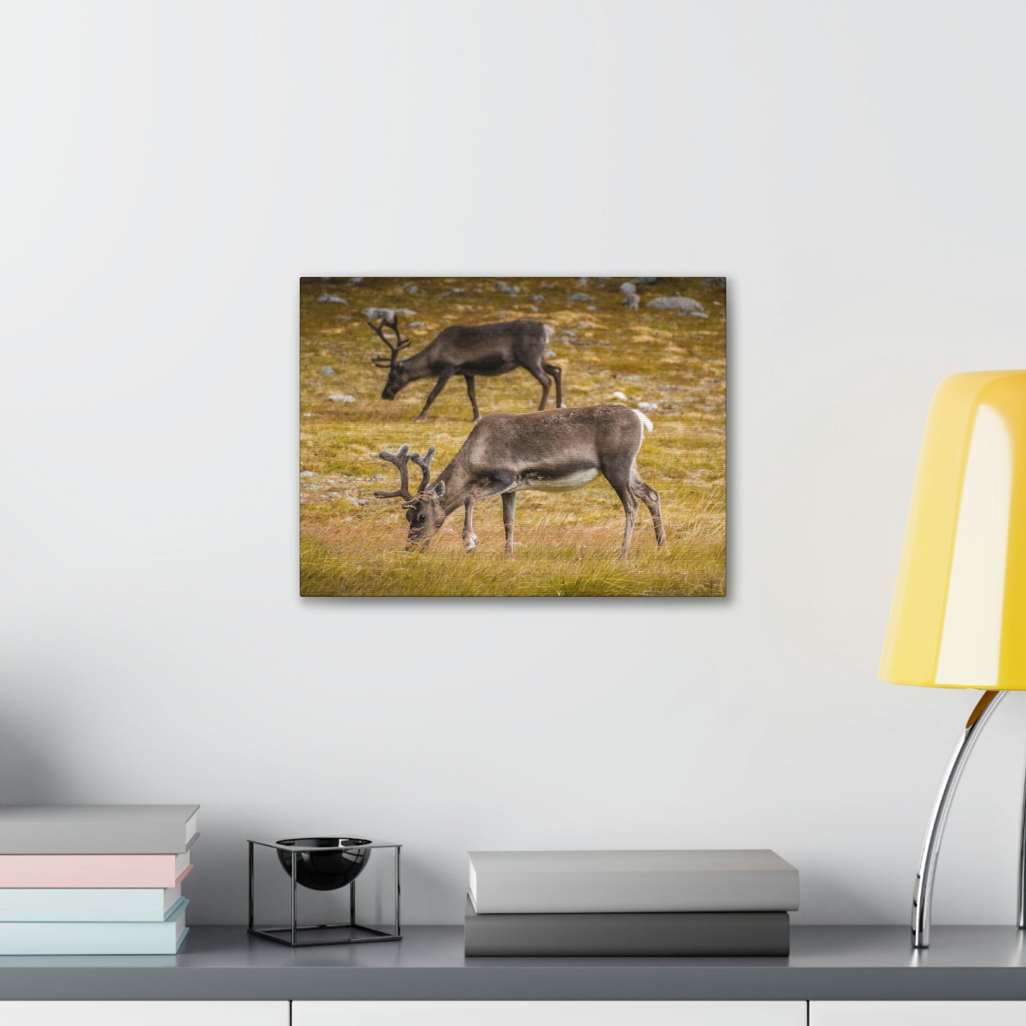 Scripture Walls Caribou Couple Caribou Troop Print Animal Wall Art Wildlife Canvas Prints Wall Art Ready to Hang Unframed-Express Your Love Gifts