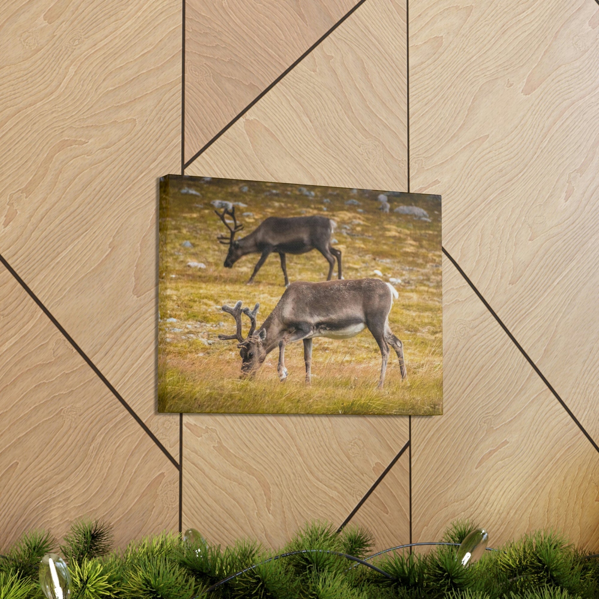 Scripture Walls Caribou Couple Caribou Troop Print Animal Wall Art Wildlife Canvas Prints Wall Art Ready to Hang Unframed-Express Your Love Gifts