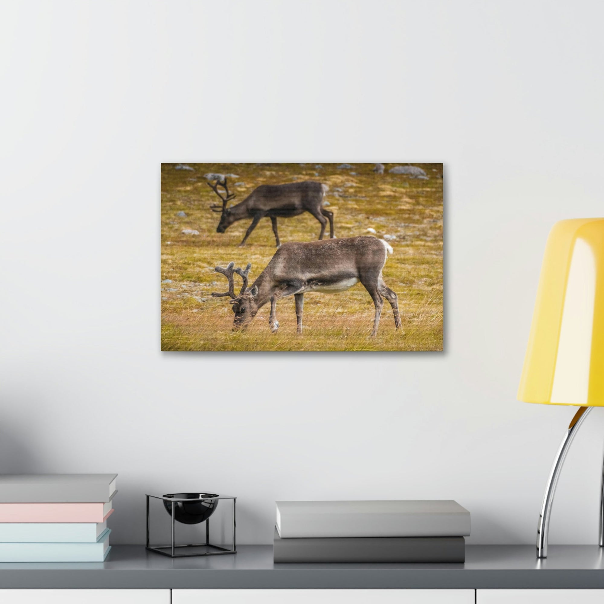 Scripture Walls Caribou Couple Caribou Troop Print Animal Wall Art Wildlife Canvas Prints Wall Art Ready to Hang Unframed-Express Your Love Gifts