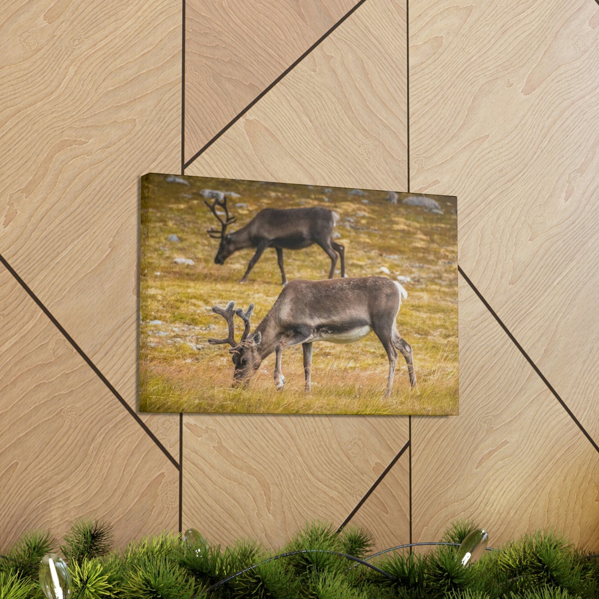 Scripture Walls Caribou Couple Caribou Troop Print Animal Wall Art Wildlife Canvas Prints Wall Art Ready to Hang Unframed-Express Your Love Gifts