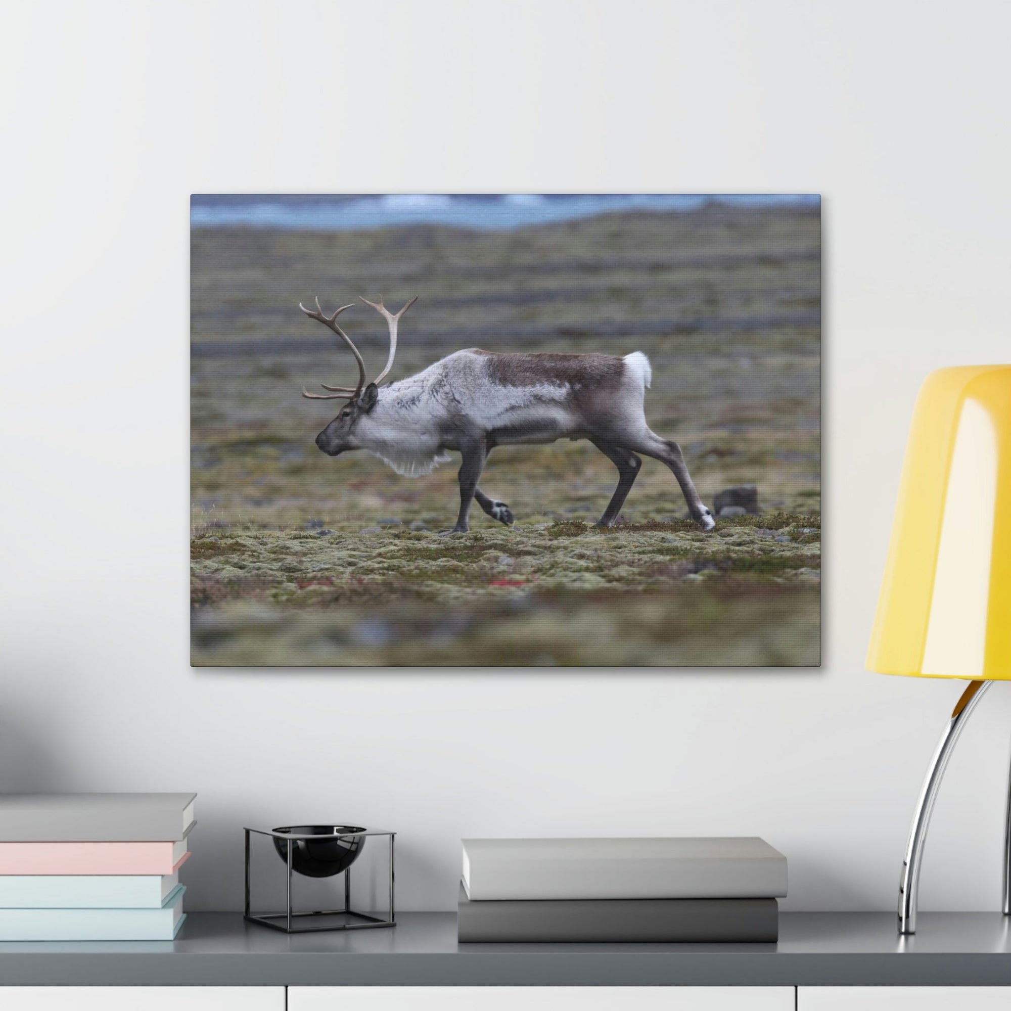 Scripture Walls Caribou Hunting Caribou on Hunt Print Animal Wall Art Wildlife Canvas Prints Wall Art Ready to Hang Unframed-Express Your Love Gifts