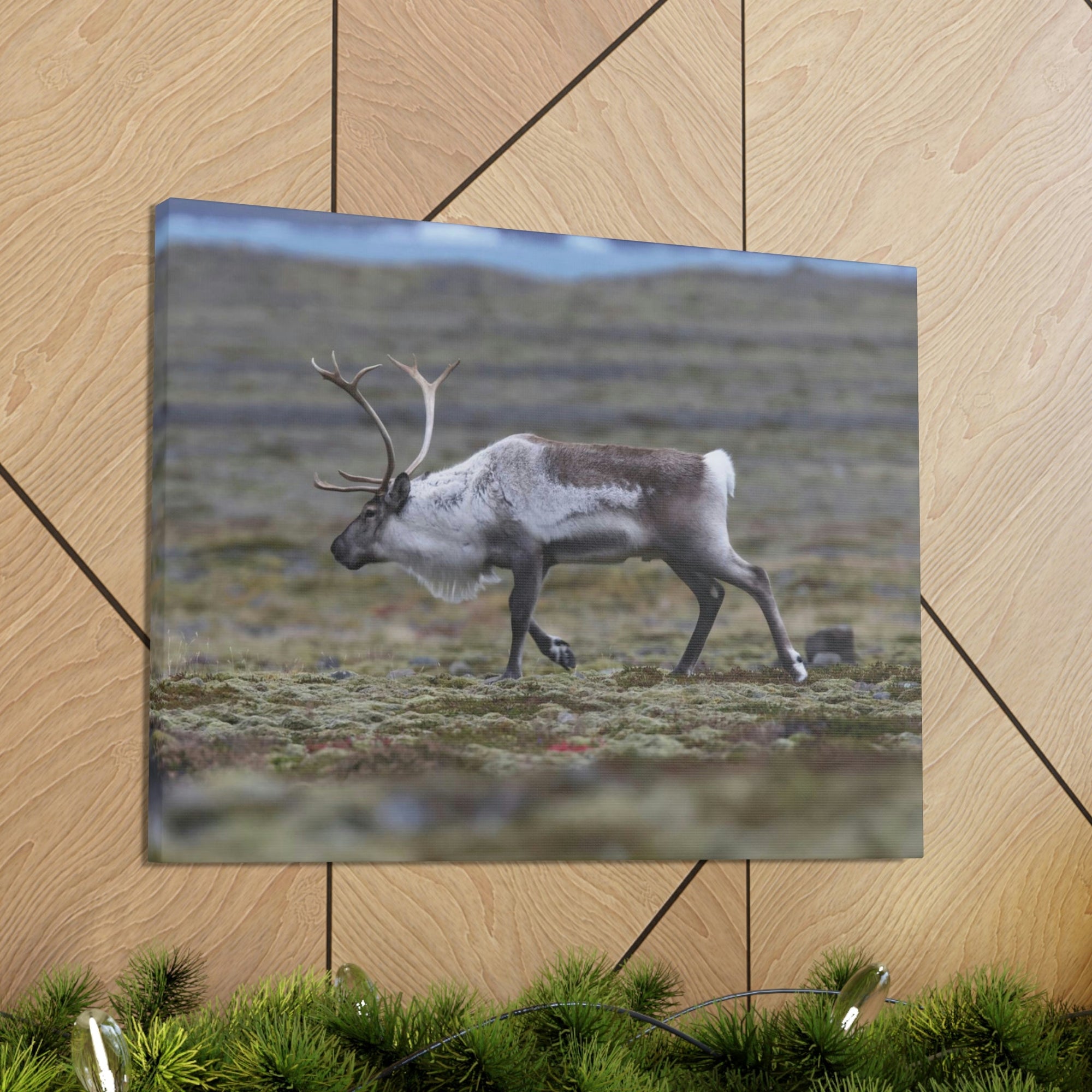 Scripture Walls Caribou Hunting Caribou on Hunt Print Animal Wall Art Wildlife Canvas Prints Wall Art Ready to Hang Unframed-Express Your Love Gifts