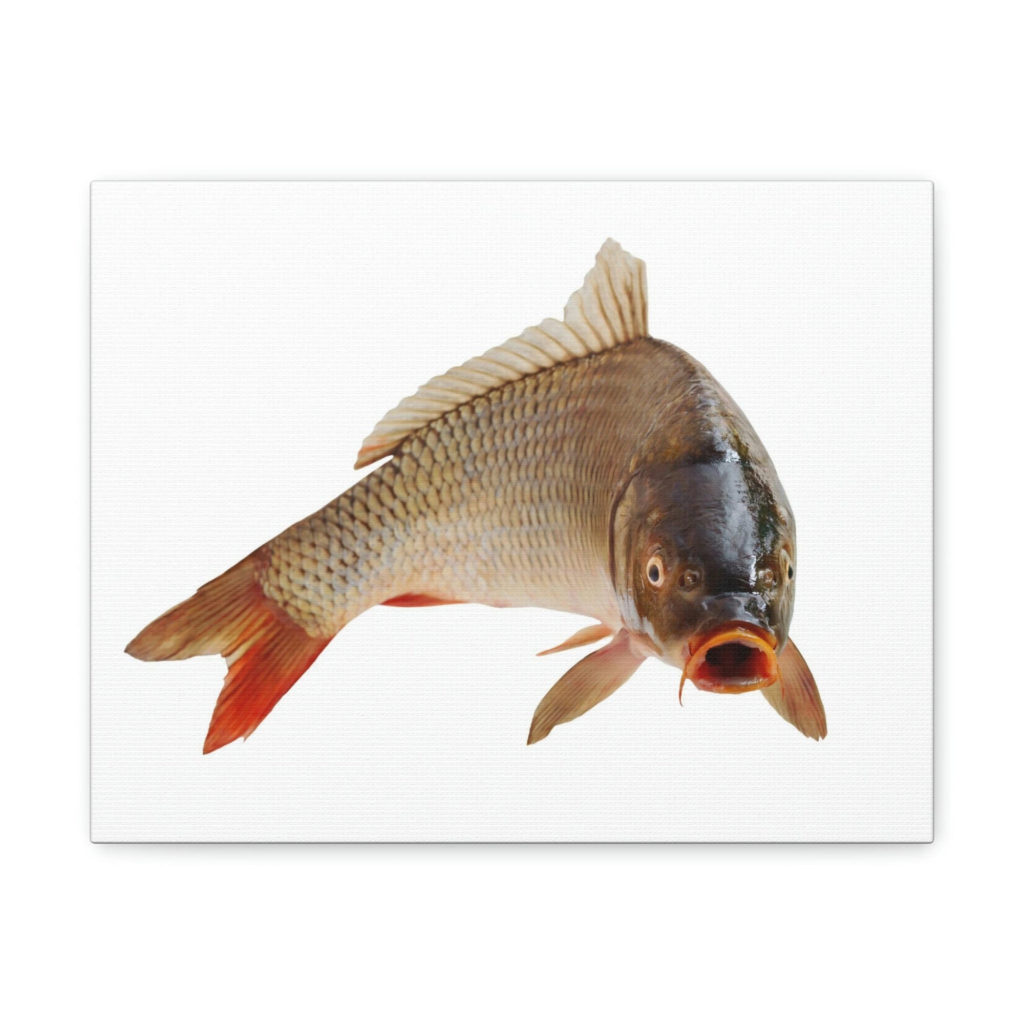 Scripture Walls Carp Hunting Carp on Hunt Print Animal Wall Art Wildlife Canvas Prints Wall Art Ready to Hang Unframed-Express Your Love Gifts