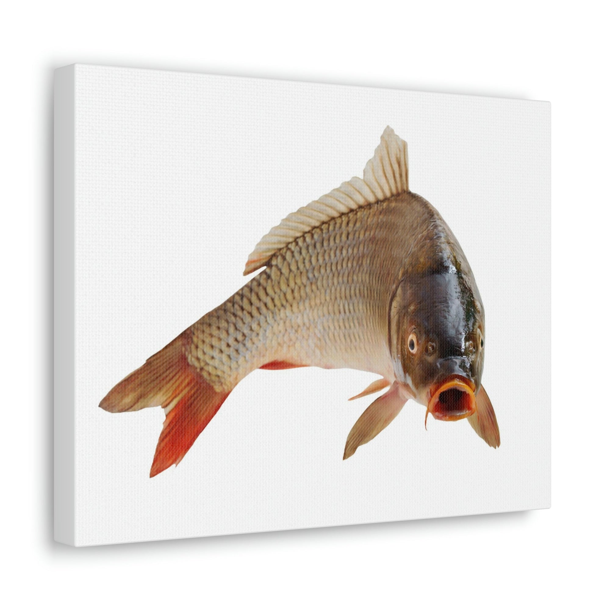 Scripture Walls Carp Hunting Carp on Hunt Print Animal Wall Art Wildlife Canvas Prints Wall Art Ready to Hang Unframed-Express Your Love Gifts