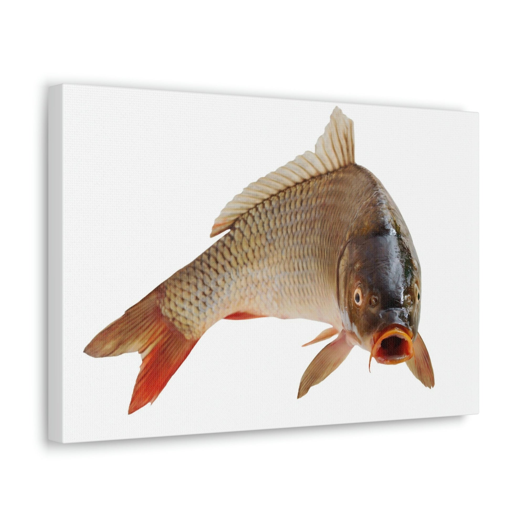 Scripture Walls Carp Hunting Carp on Hunt Print Animal Wall Art Wildlife Canvas Prints Wall Art Ready to Hang Unframed-Express Your Love Gifts