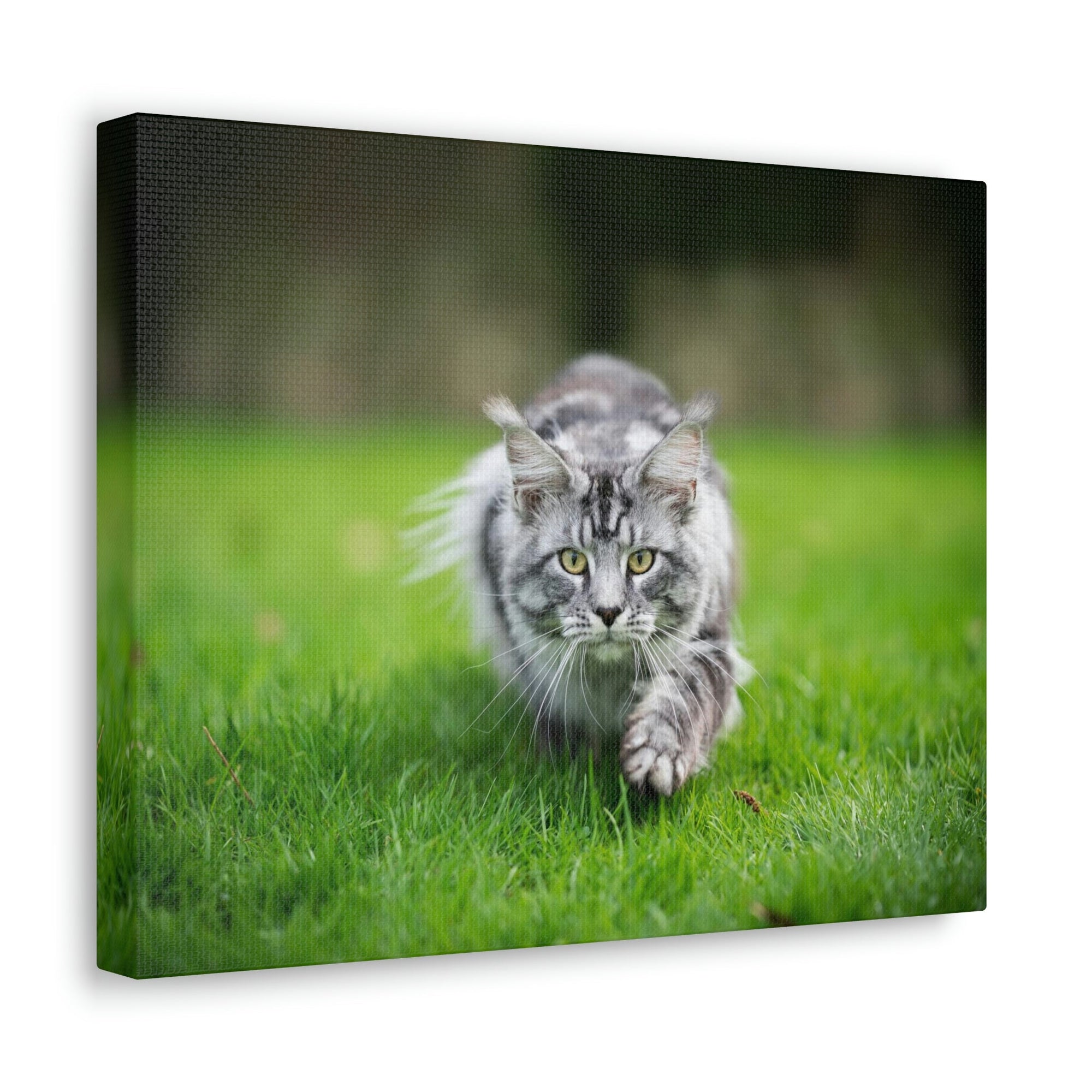 Scripture Walls Cat Hunting Cat on Hunt Print Animal Wall Art Wildlife Canvas Prints Wall Art Ready to Hang Unframed-Express Your Love Gifts