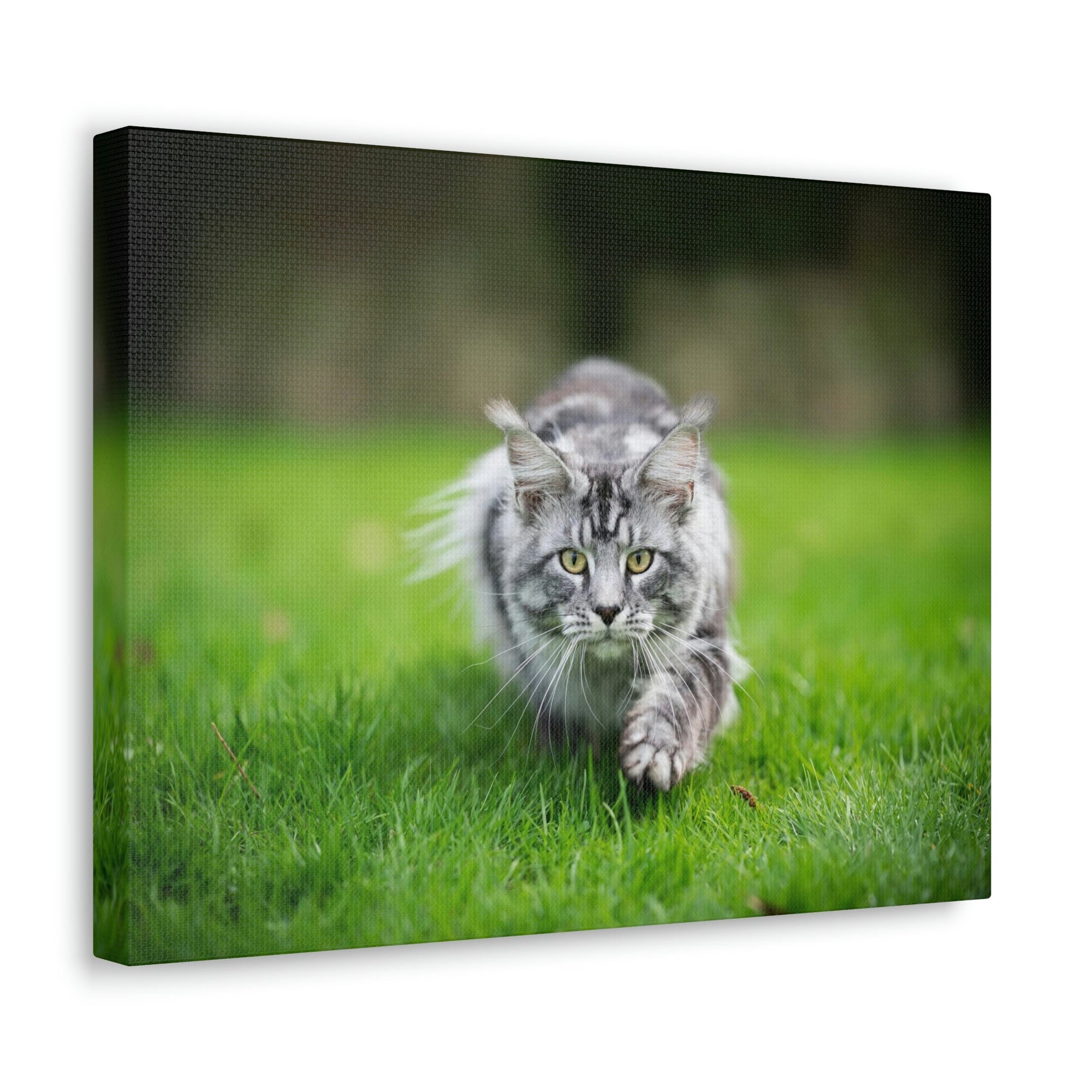 Scripture Walls Cat Hunting Cat on Hunt Print Animal Wall Art Wildlife Canvas Prints Wall Art Ready to Hang Unframed-Express Your Love Gifts