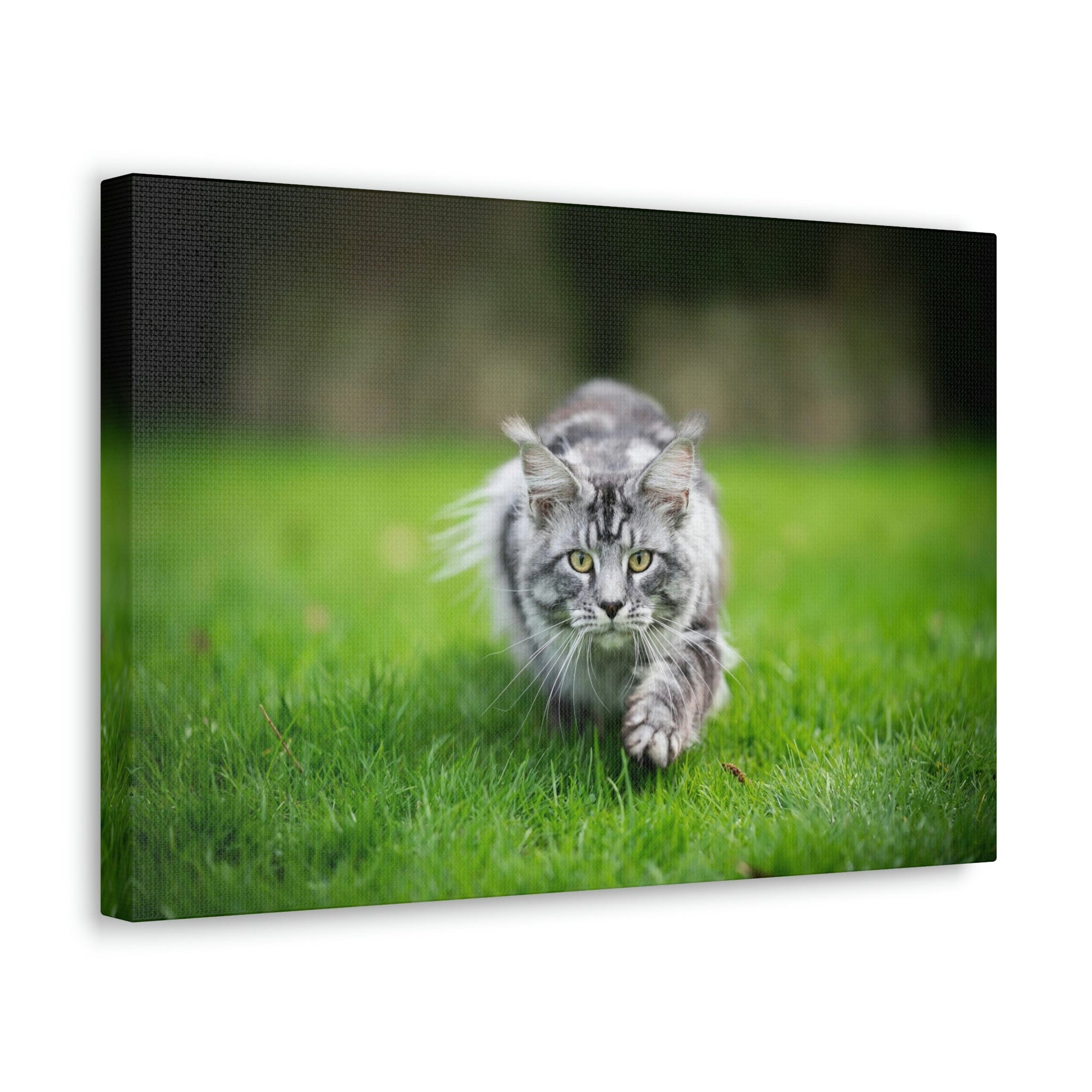 Scripture Walls Cat Hunting Cat on Hunt Print Animal Wall Art Wildlife Canvas Prints Wall Art Ready to Hang Unframed-Express Your Love Gifts