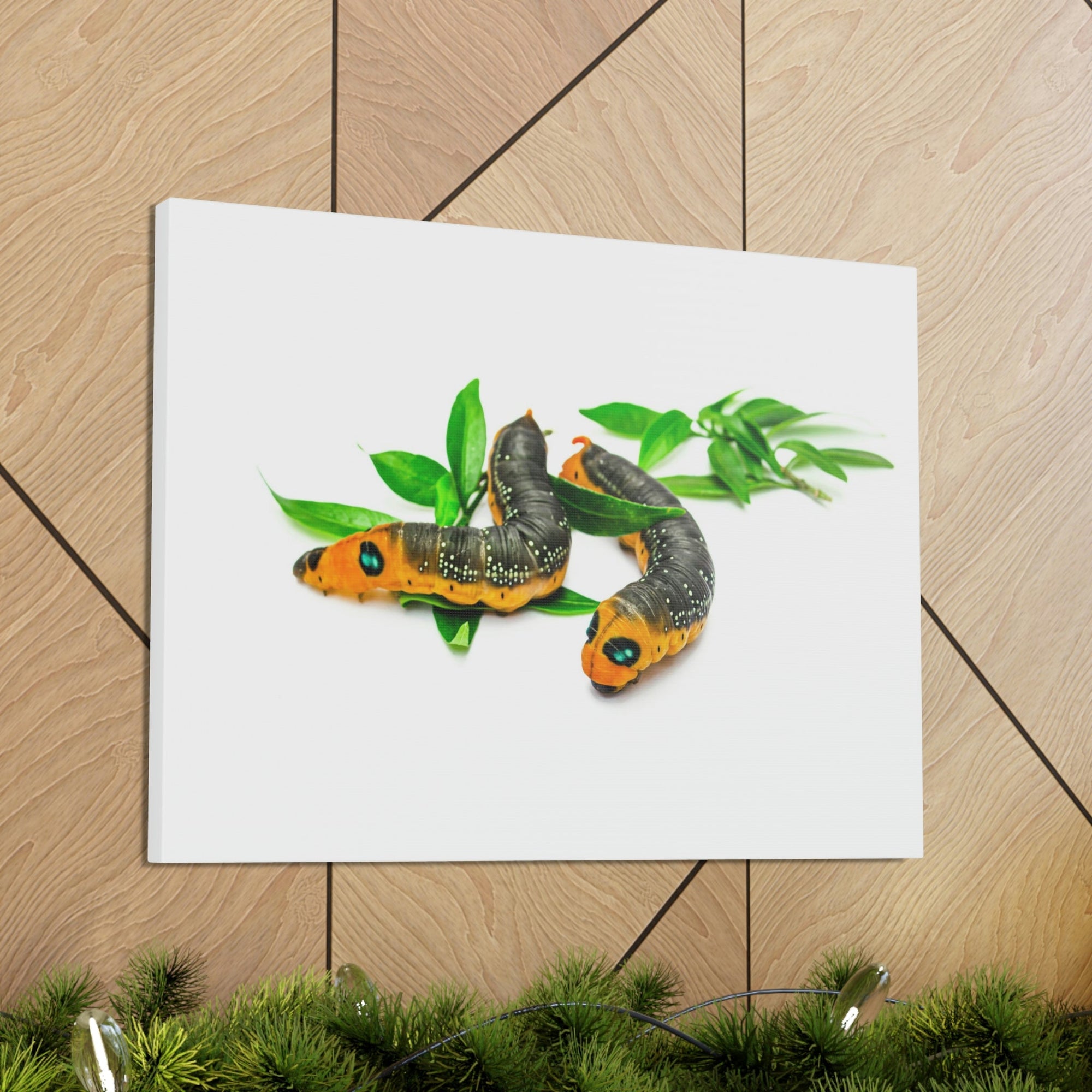 Scripture Walls Caterpillar Couple Caterpillar Troop Print Animal Wall Art Wildlife Canvas Prints Wall Art Ready to Hang Unframed-Express Your Love Gifts