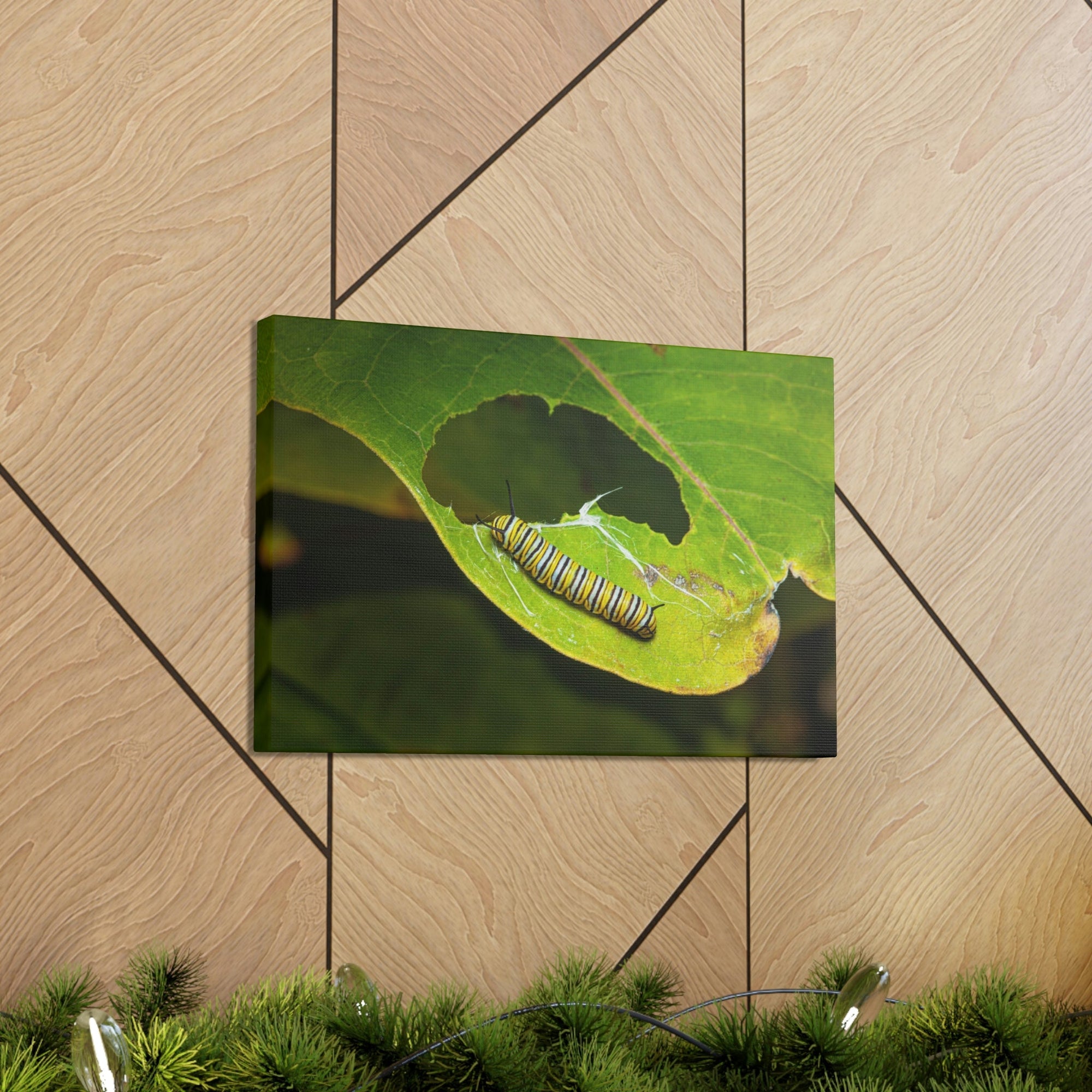 Scripture Walls Caterpillar Hunting Caterpillar on Hunt Print Animal Wall Art Wildlife Canvas Prints Wall Art Ready to Hang Unframed-Express Your Love Gifts