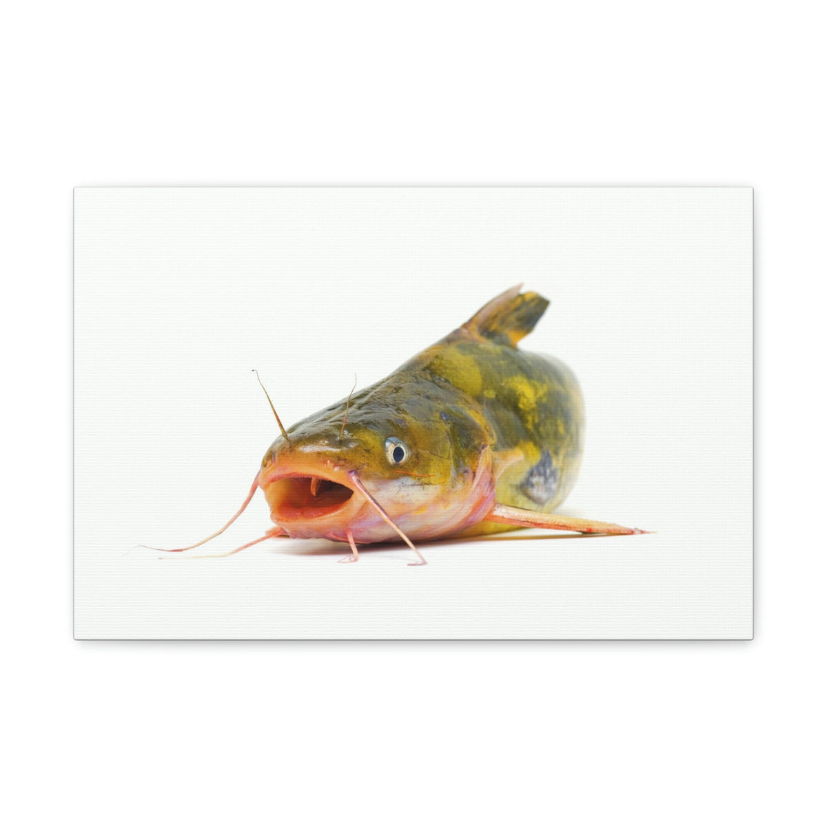 Scripture Walls Catfish Hunting Catfish on Hunt Print Animal Wall Art Wildlife Canvas Prints Wall Art Ready to Hang Unframed-Express Your Love Gifts