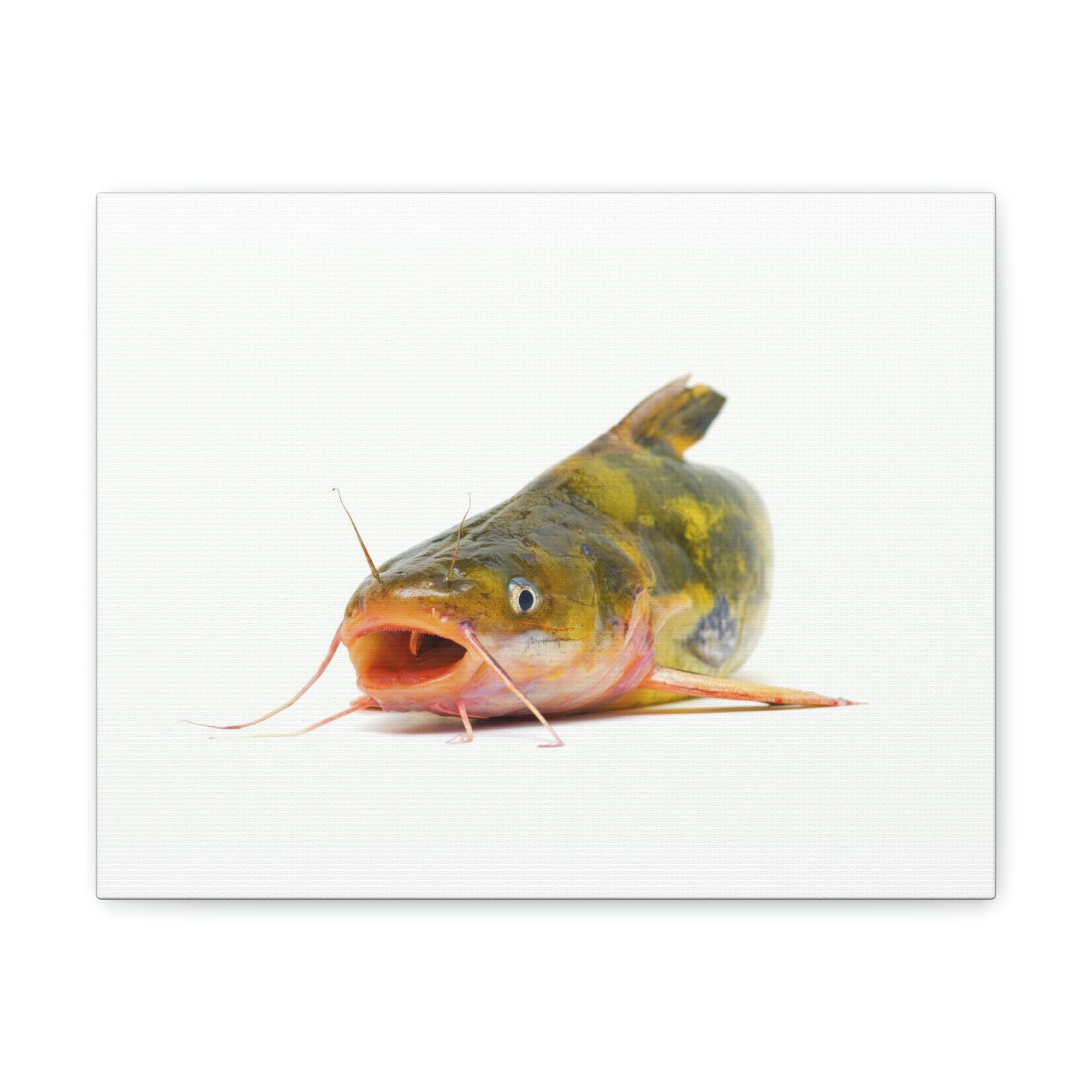 Scripture Walls Catfish Hunting Catfish on Hunt Print Animal Wall Art Wildlife Canvas Prints Wall Art Ready to Hang Unframed-Express Your Love Gifts