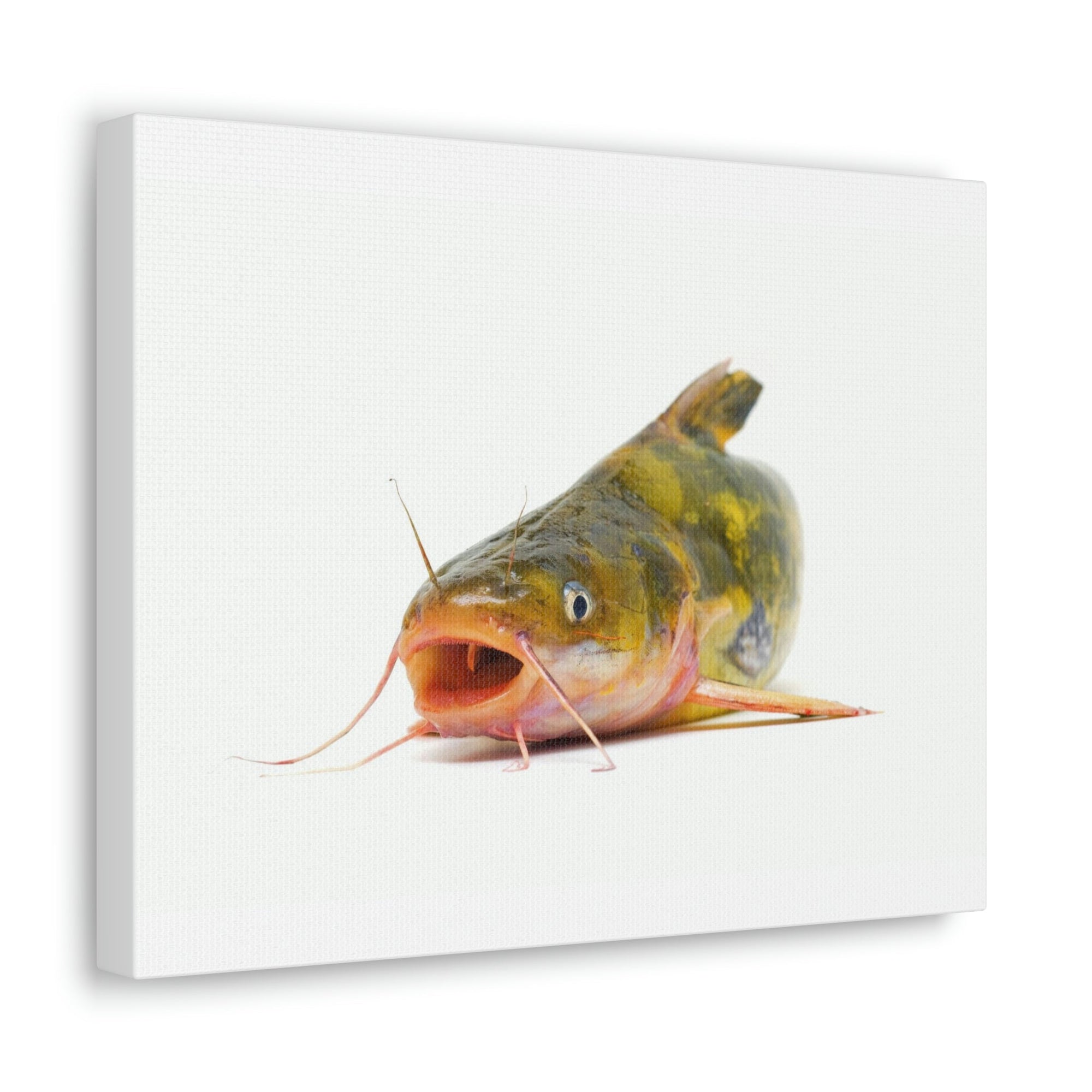 Scripture Walls Catfish Hunting Catfish on Hunt Print Animal Wall Art Wildlife Canvas Prints Wall Art Ready to Hang Unframed-Express Your Love Gifts