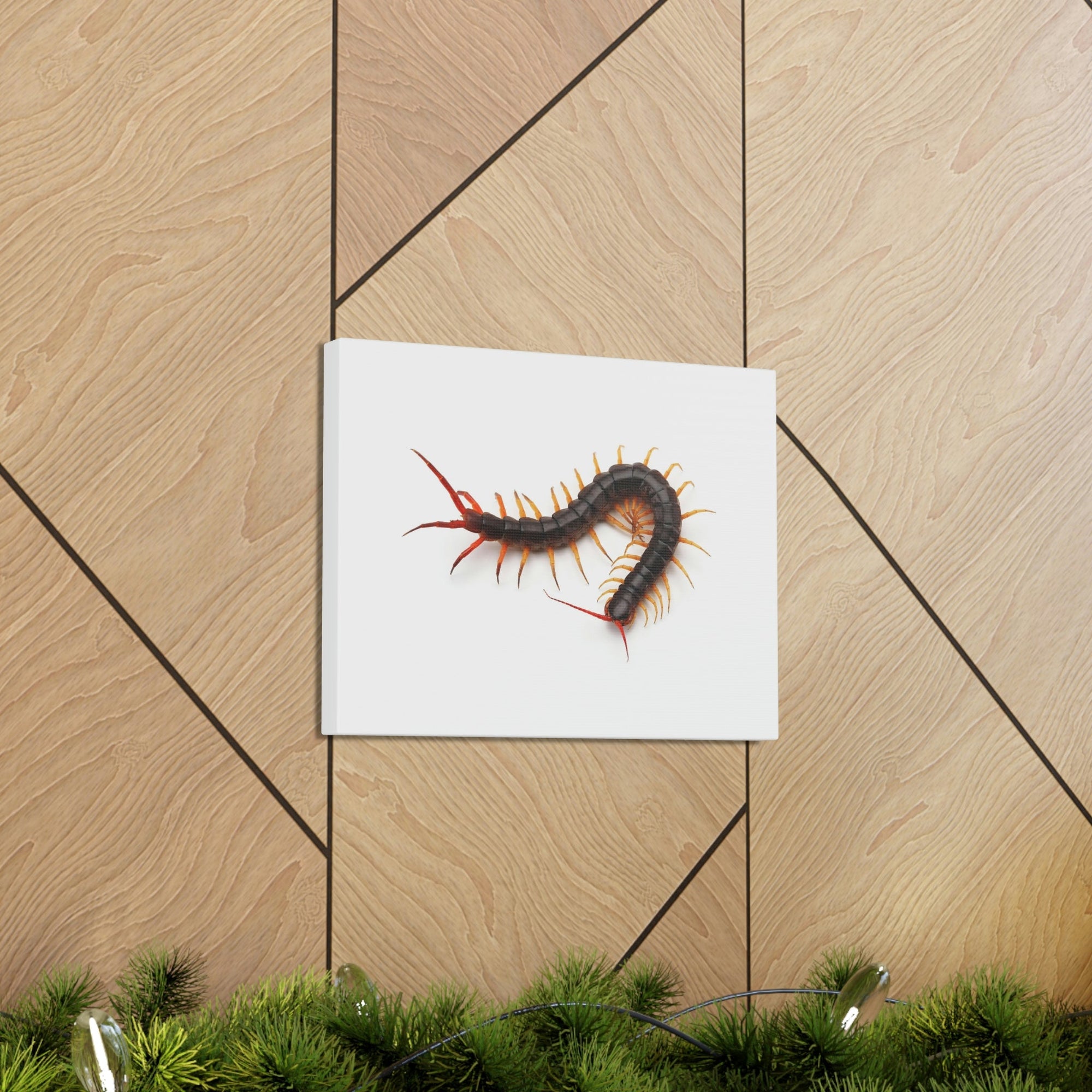 Scripture Walls Centipede Hunting Centipede on Hunt Print Animal Wall Art Wildlife Canvas Prints Wall Art Ready to Hang Unframed-Express Your Love Gifts