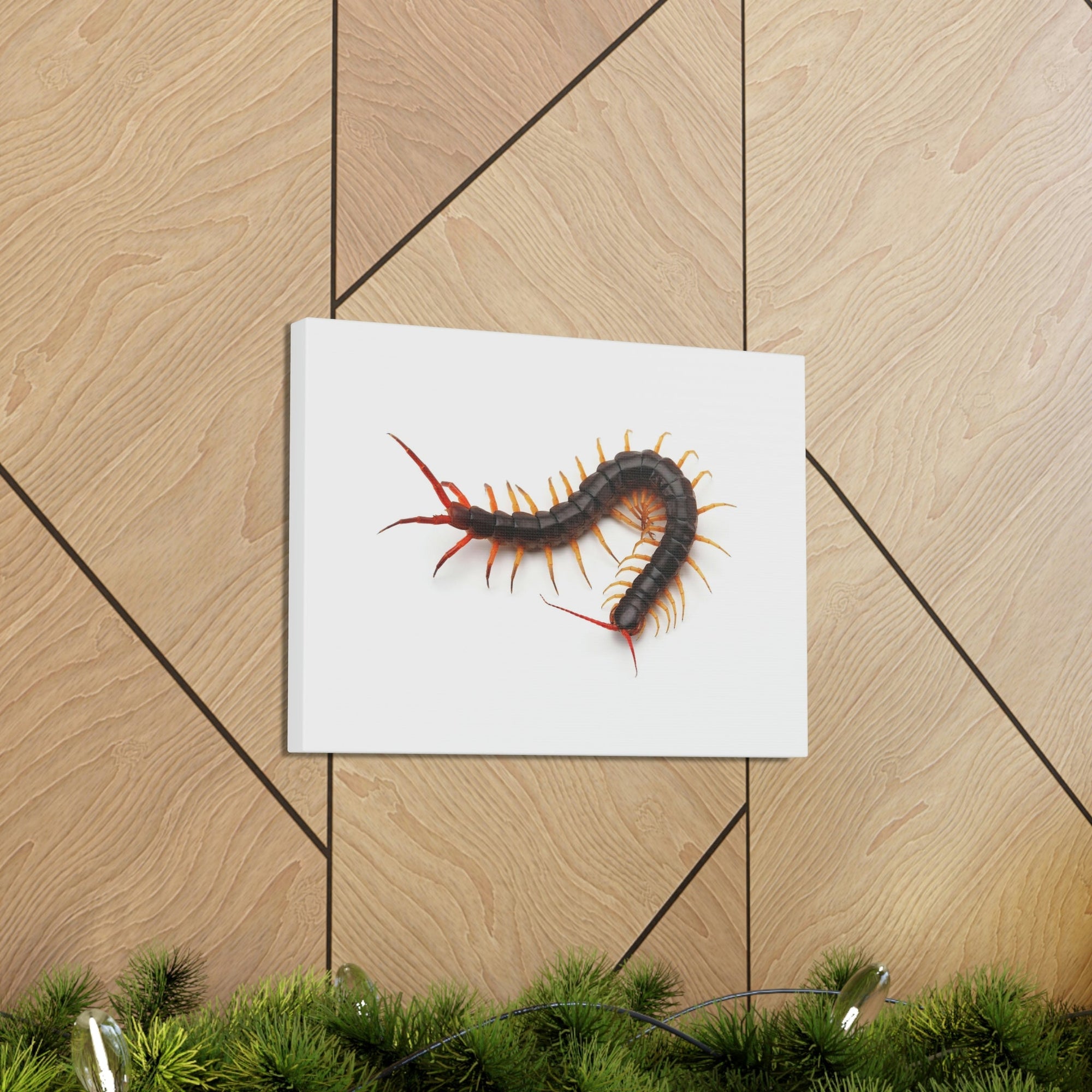 Scripture Walls Centipede Hunting Centipede on Hunt Print Animal Wall Art Wildlife Canvas Prints Wall Art Ready to Hang Unframed-Express Your Love Gifts